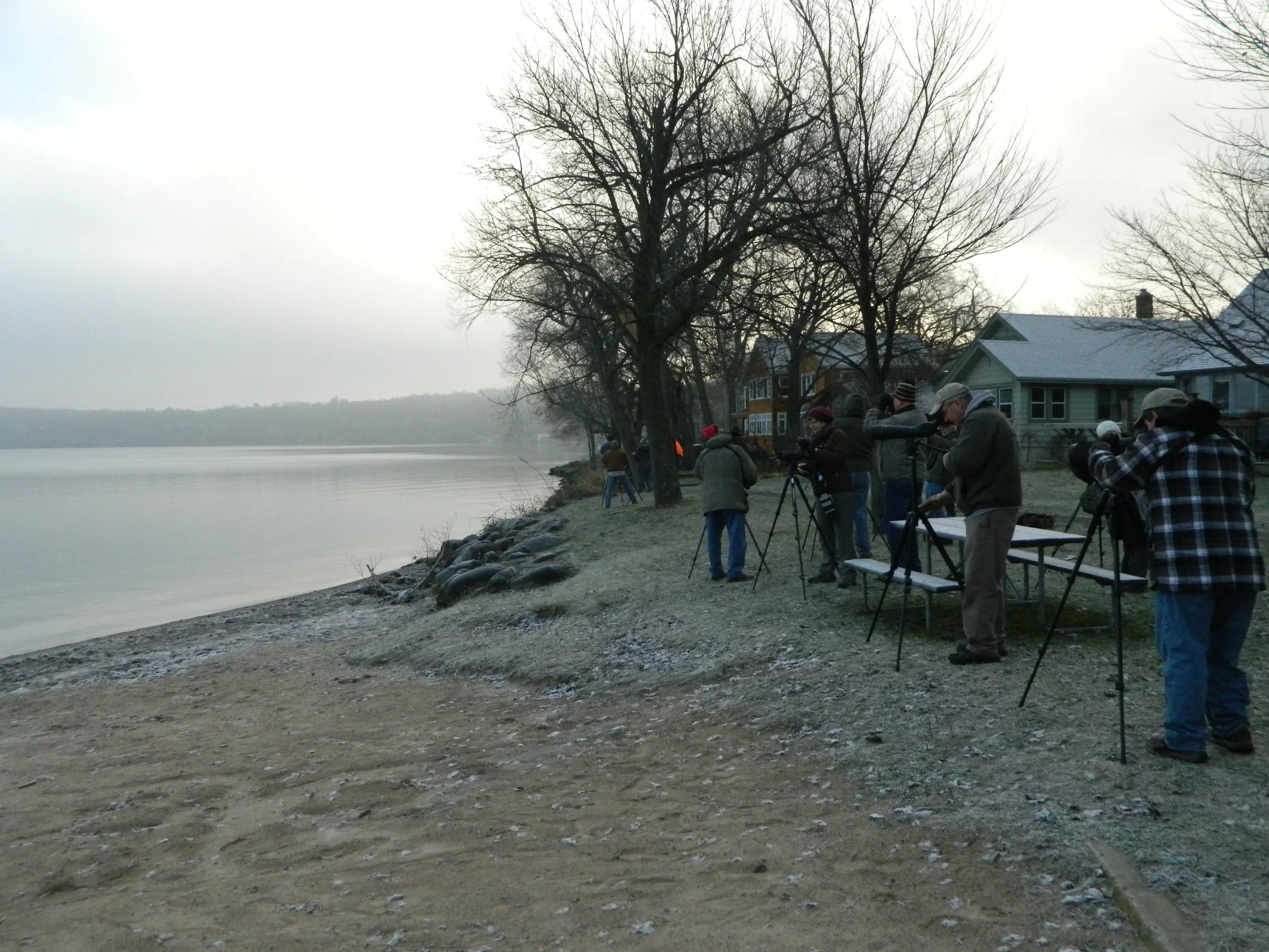Birding Madison's Lakes