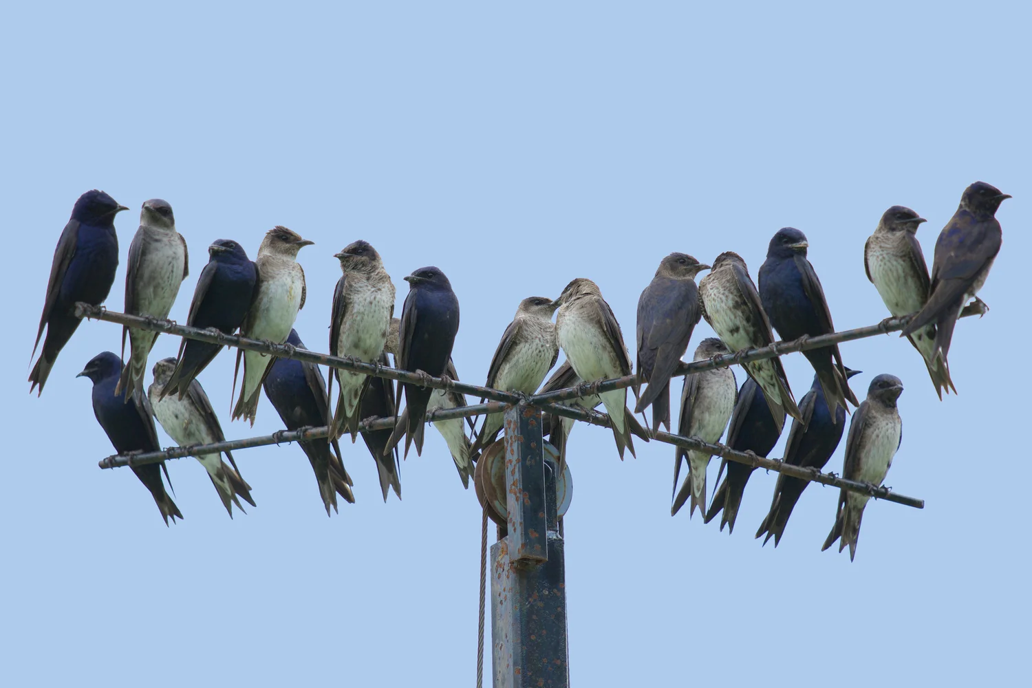 image-asset.jpeg?format=1500w