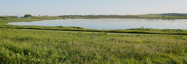 A preview of what you'll see from the Wingspan platform . Photo by Arlene Koziol