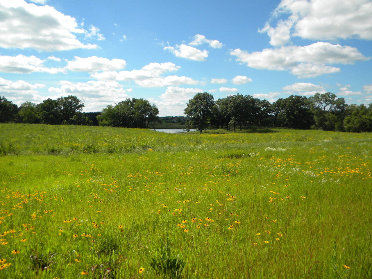 Faville Grove landscape, photo by David Musolf