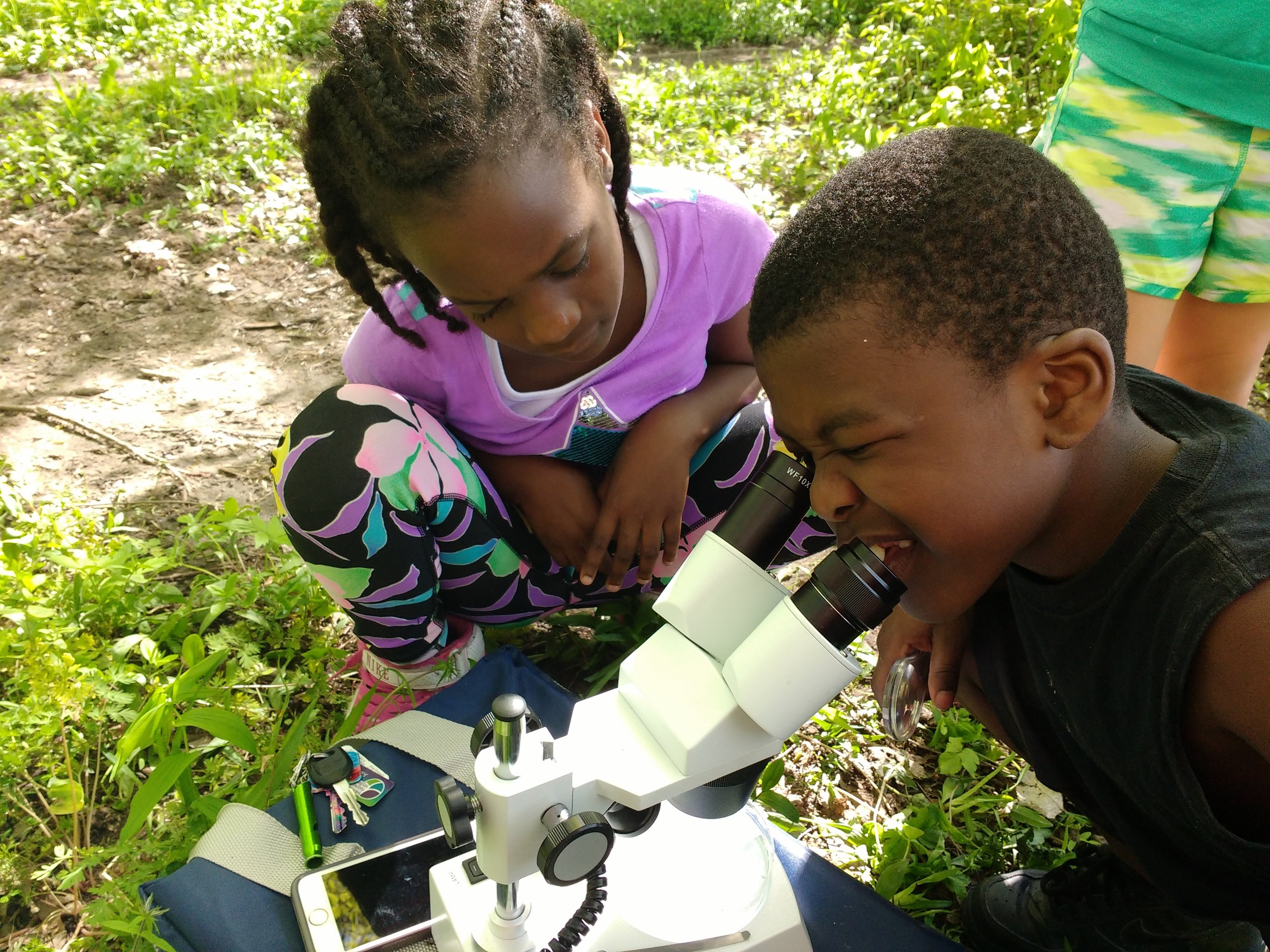 Vera Court kids grow their science skills while searching for water critters.