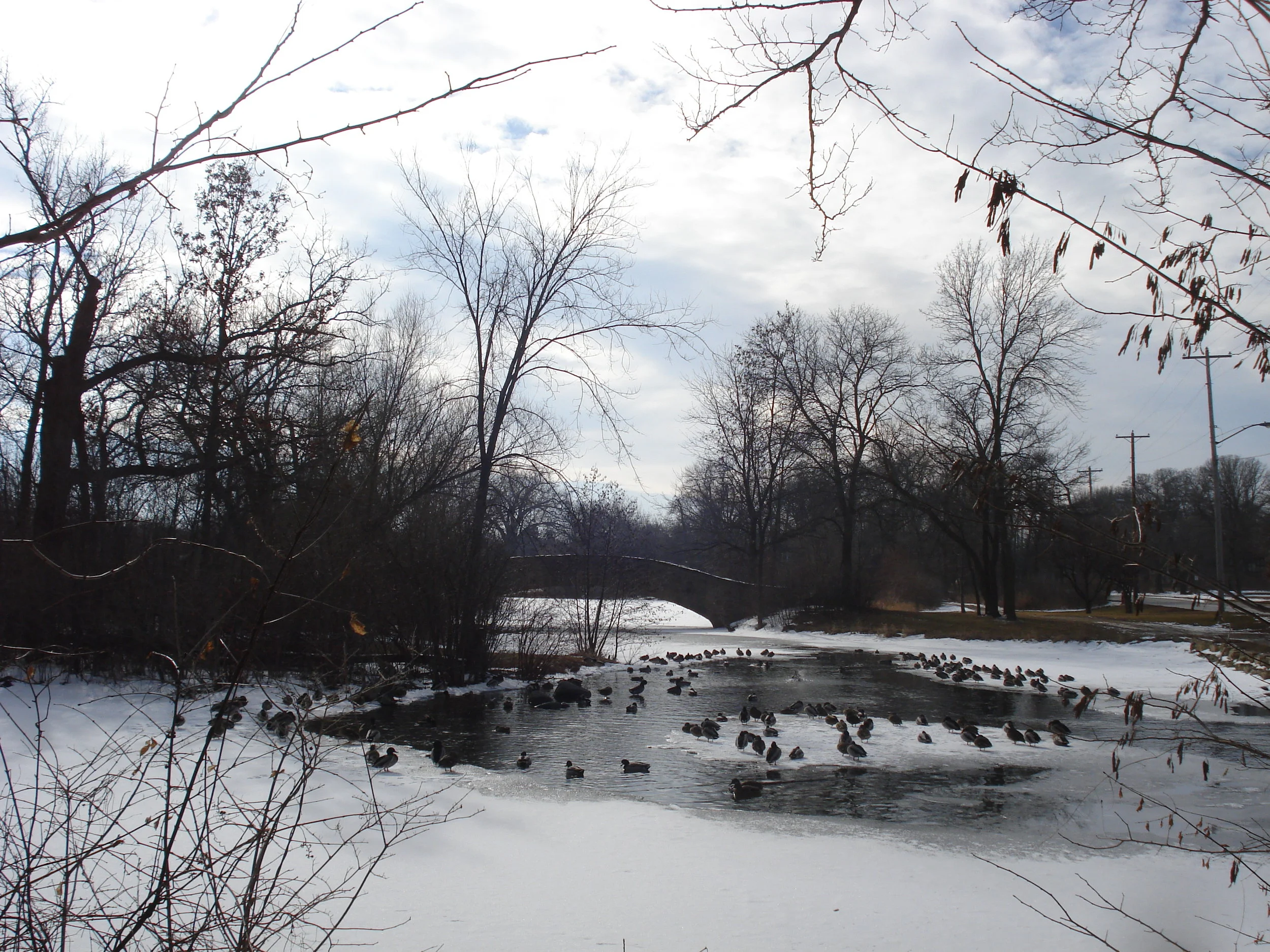 Explore Our Winter World