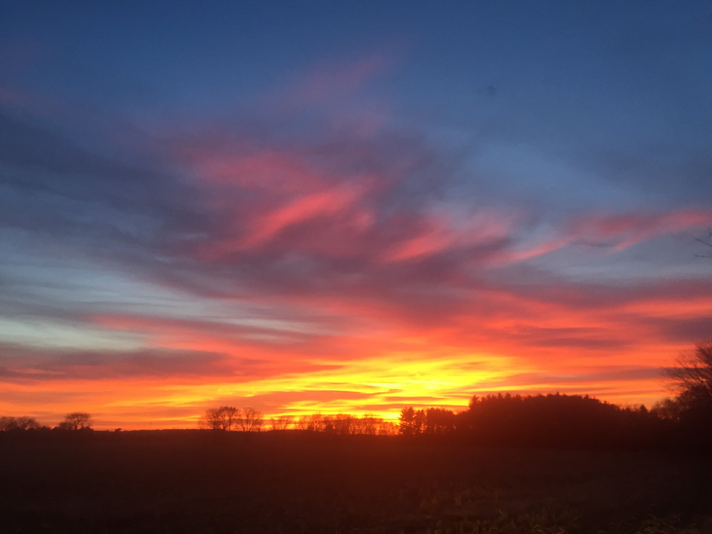 Sunset on the Laas land, Faville Grove Sanctuary. Photo by Drew Harry