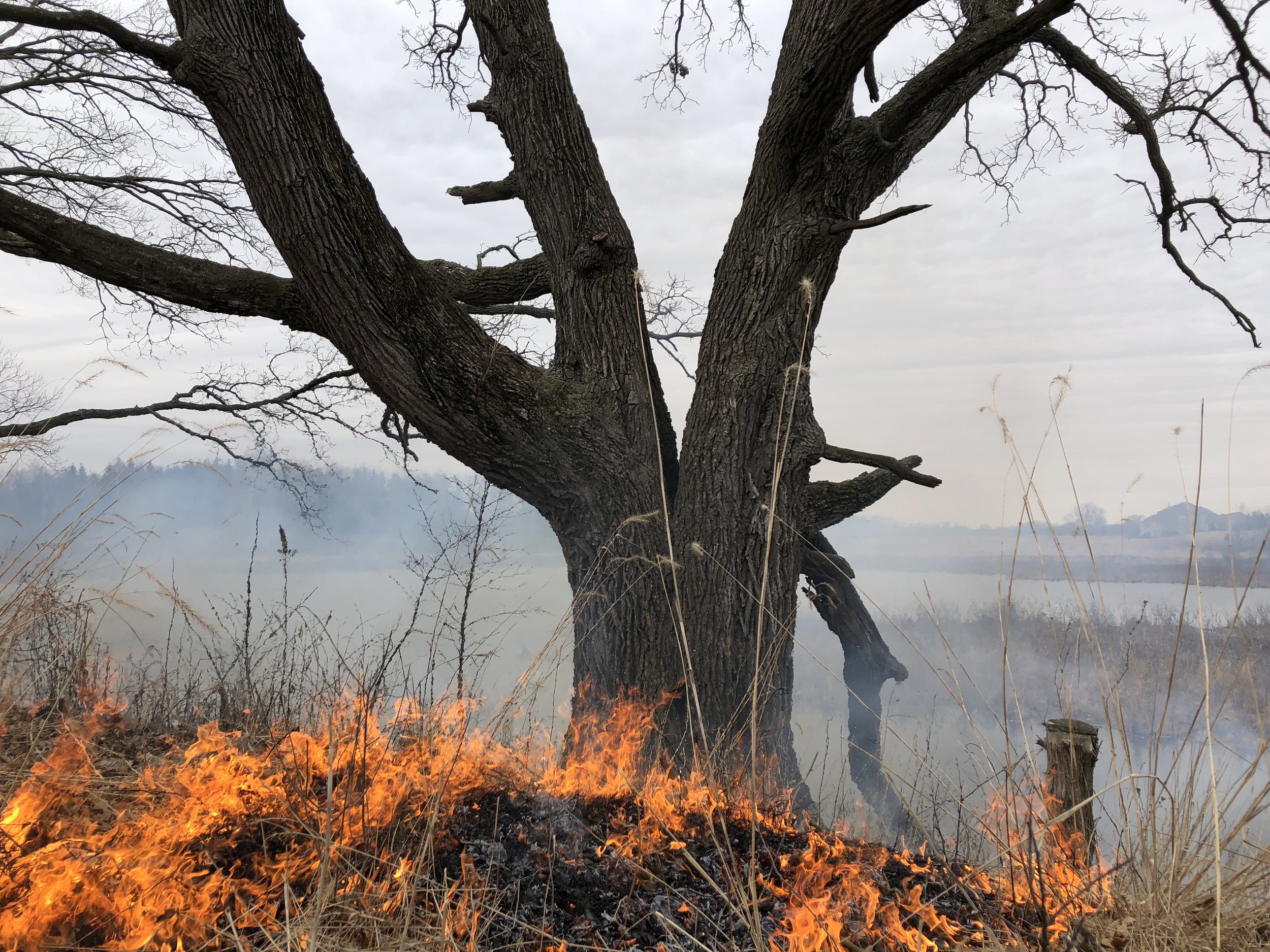 The General’s first fire in perhaps a century. Photo by Drew Harry