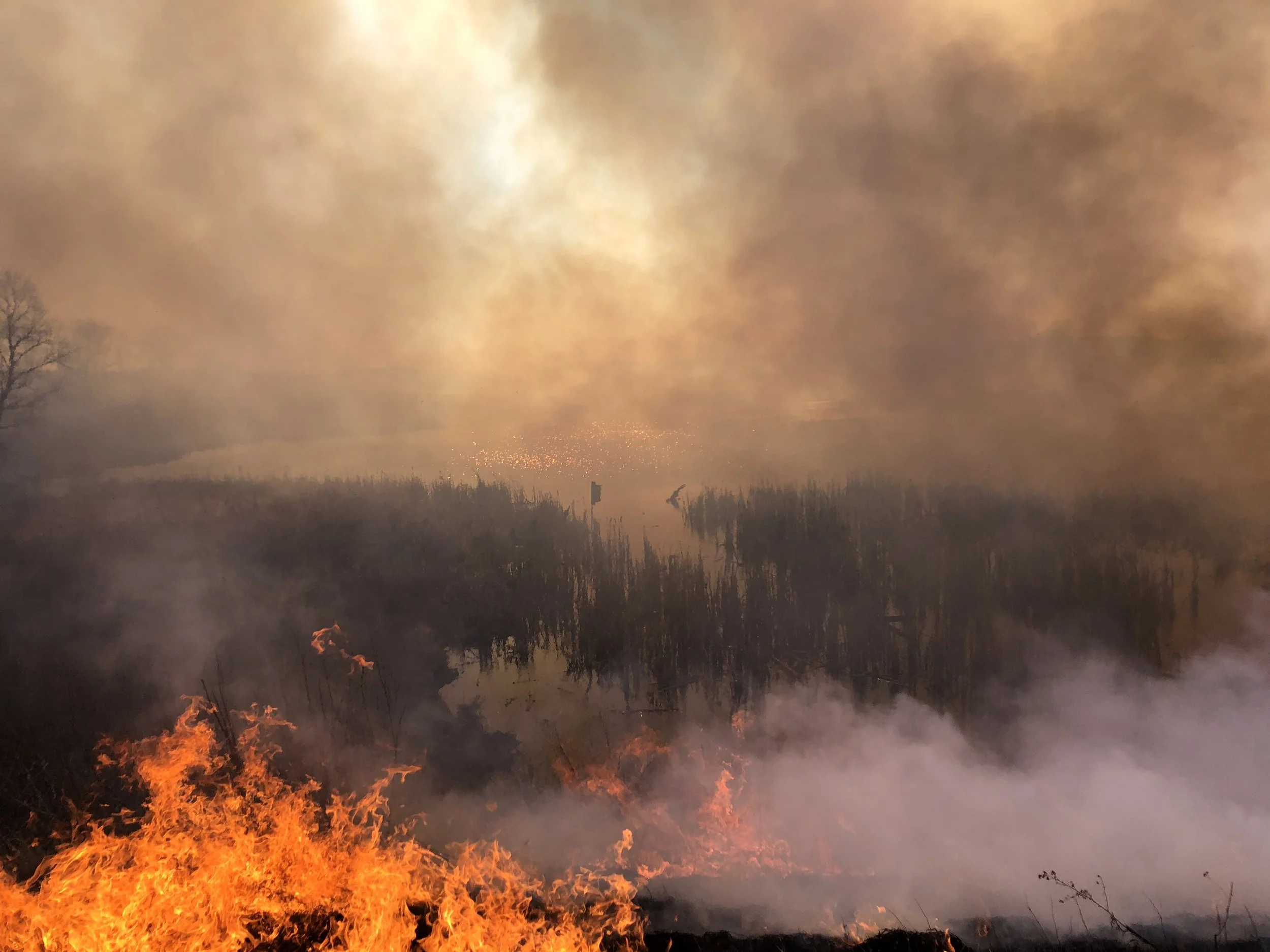 'Tis the Season to be Burning