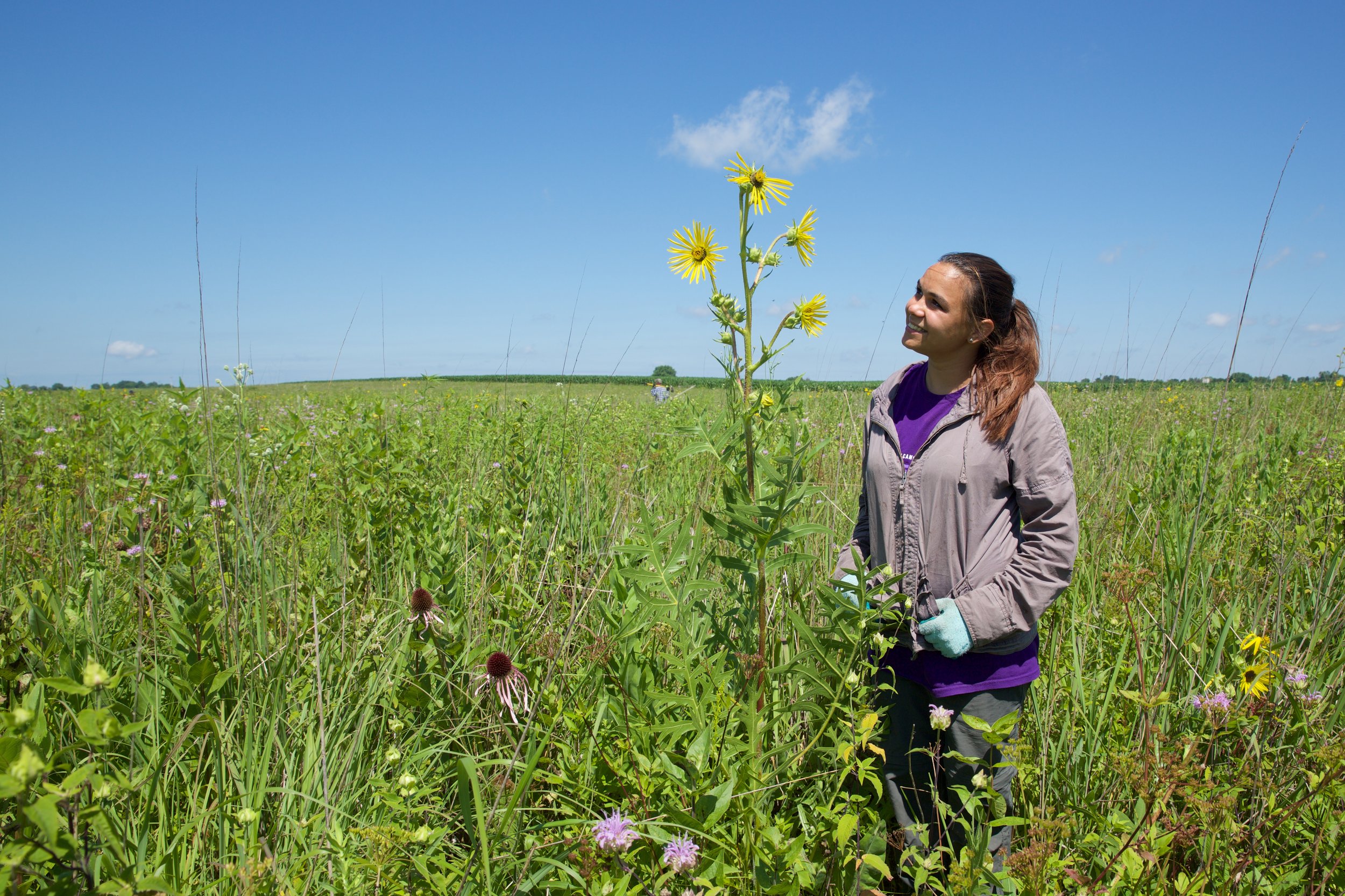 Ecological Restoration Intern