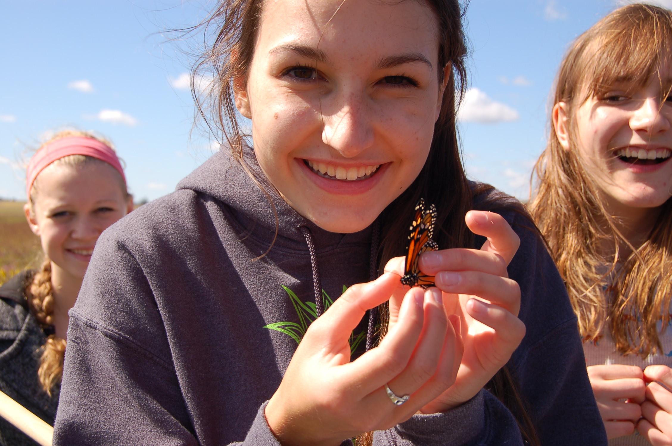 Butterfly Tagging