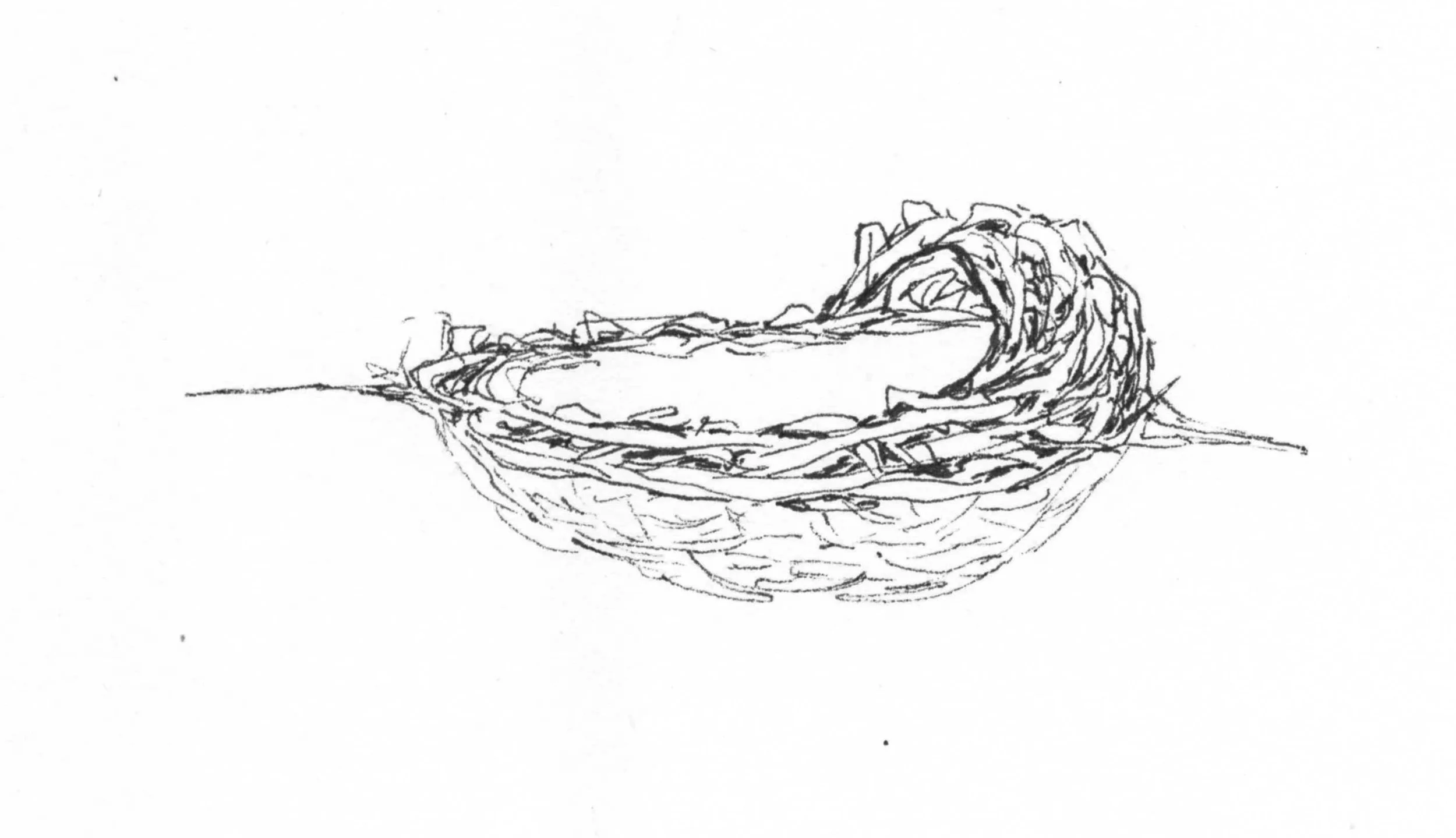 Drawing by Carolyn Byers