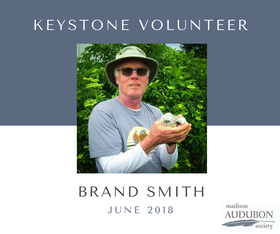 JUNE 2018 - Keystone Volunteer.png
