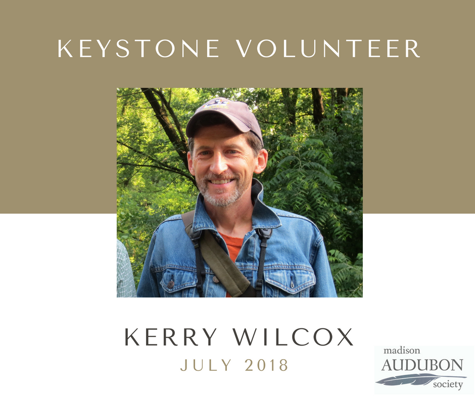 JULY 2018 - Keystone Volunteer.png
