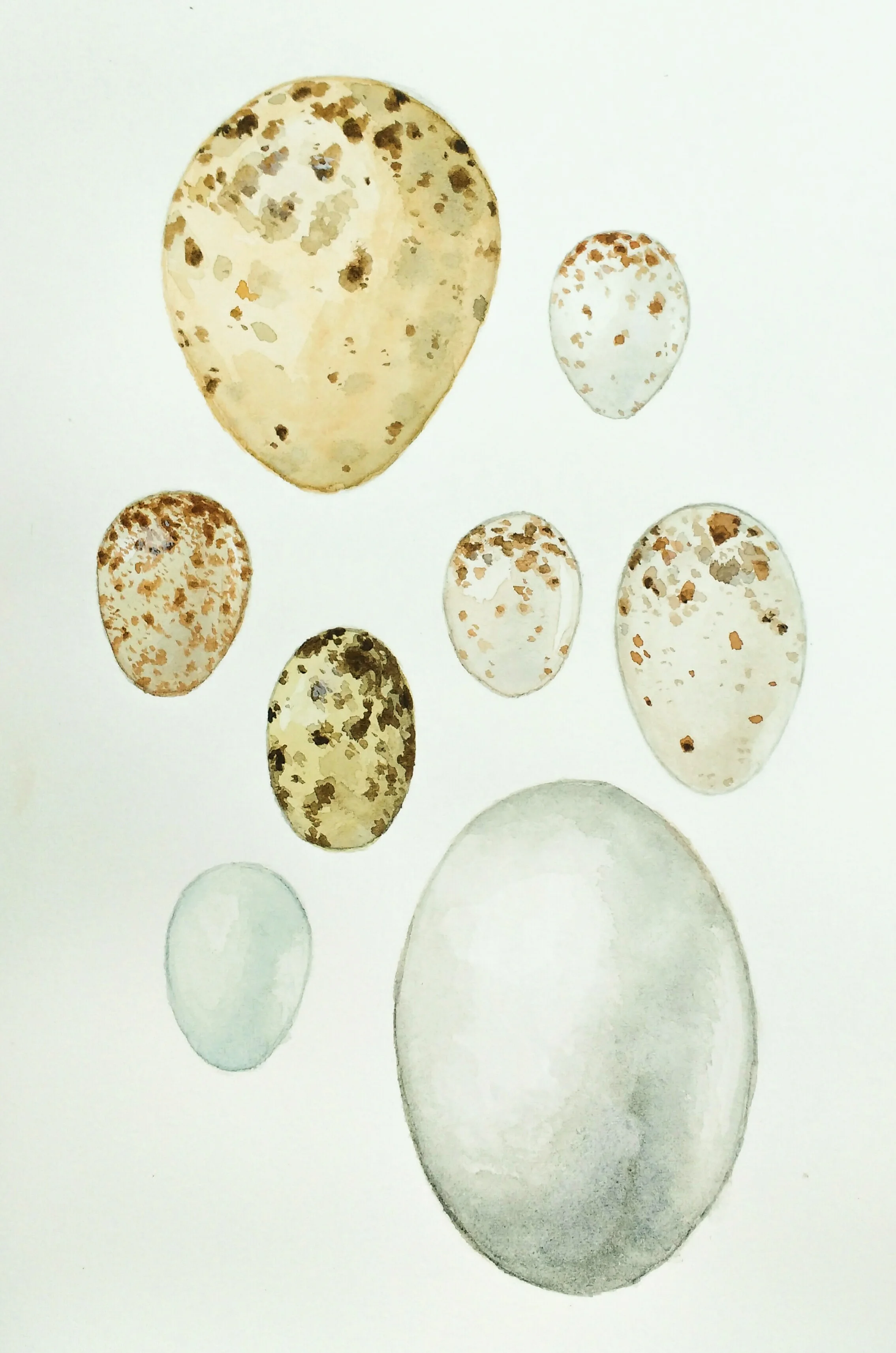 Painting by Carolyn Byers
