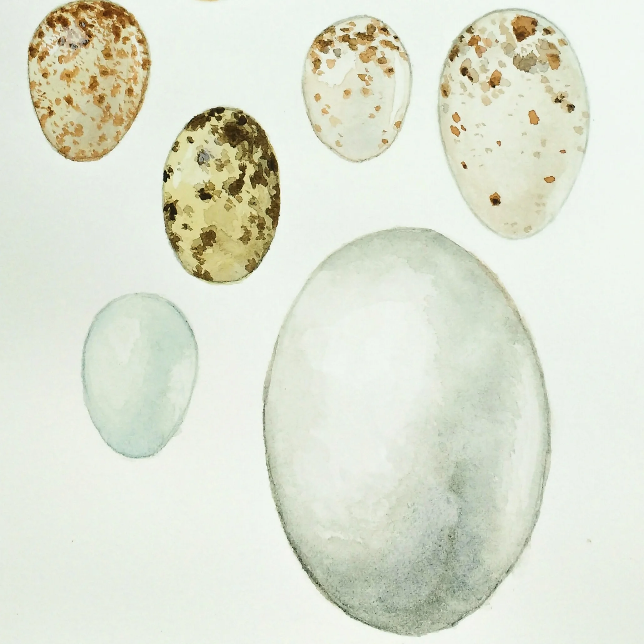 Painting by Carolyn Byers