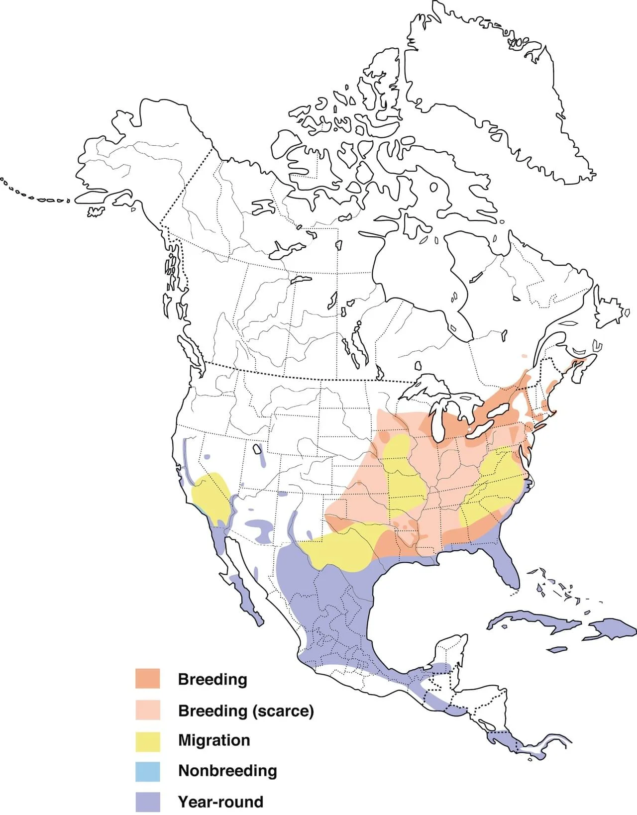 Common gallanule ranges. Courtesy of AllAboutBirds.com