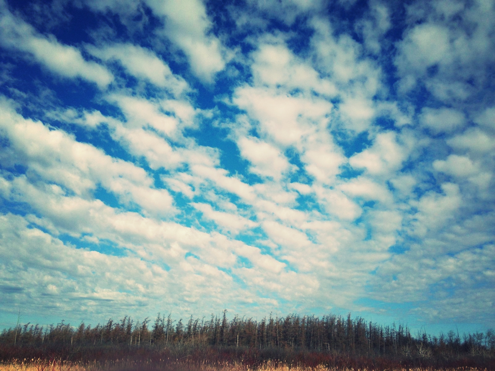 Drew Harry Faville Photos (20).JPG