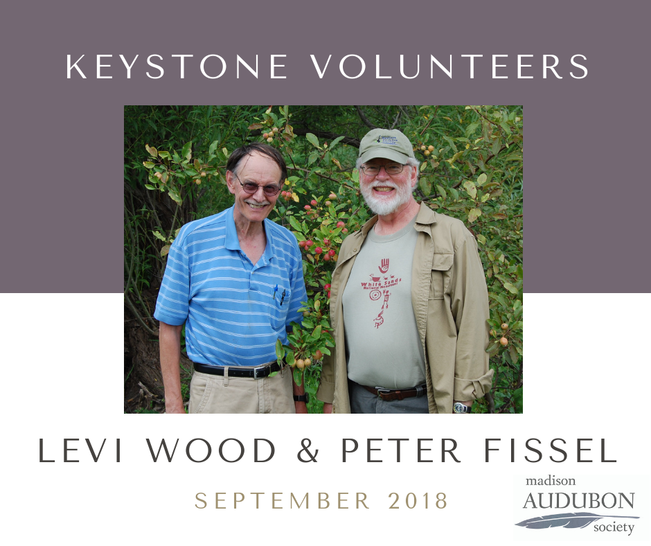 SEPT 2018 - Keystone Volunteer.png