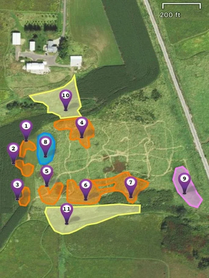 Map of Goose Pond Sanctuary scrape construction. See chart below for more details.