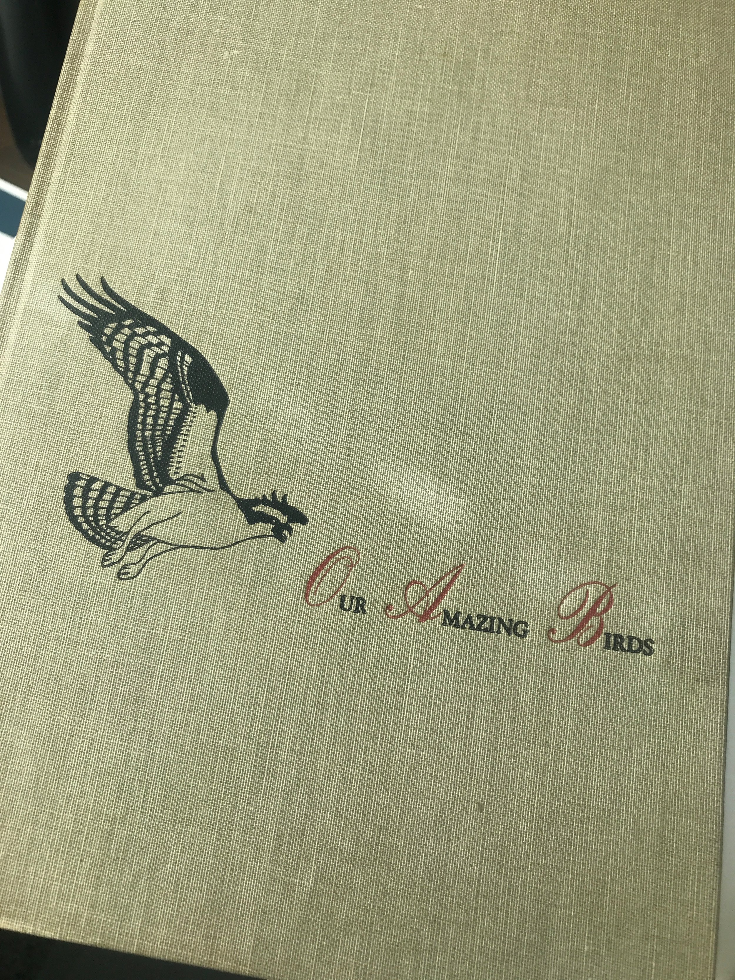 Our Amazing Birds by Robert S. Lemmon, published in 1951