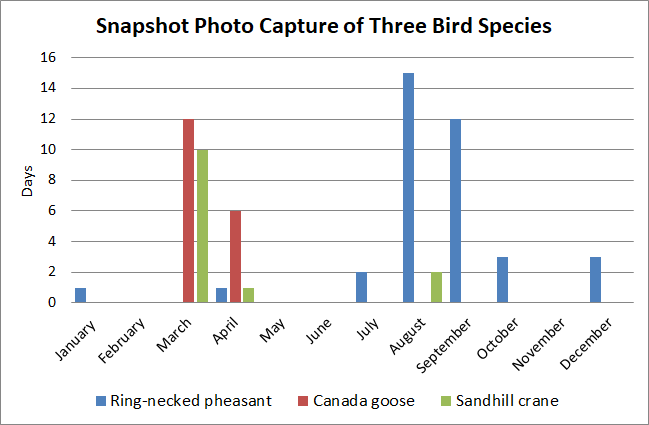 A comparison of bird species photographed through Project Snapshot at Goose Pond Sanctuary. Table by Graham Steinhauer
