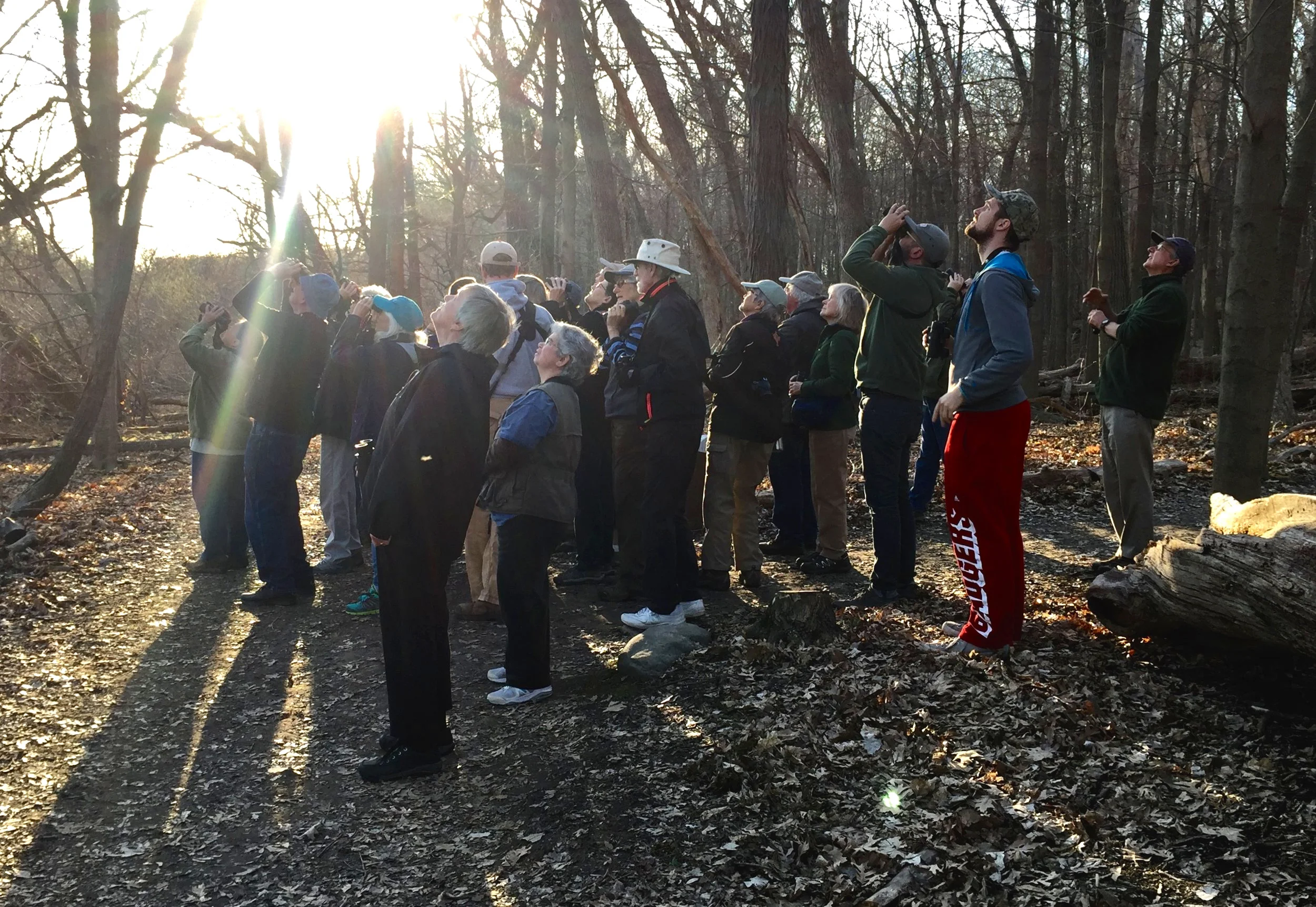 Birding 101 (3-part series)