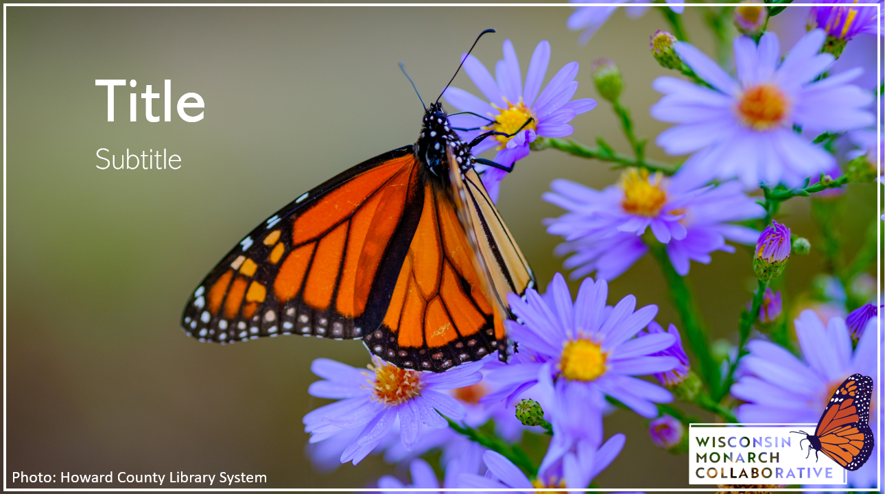 “Photo theme” PowerPoint template
