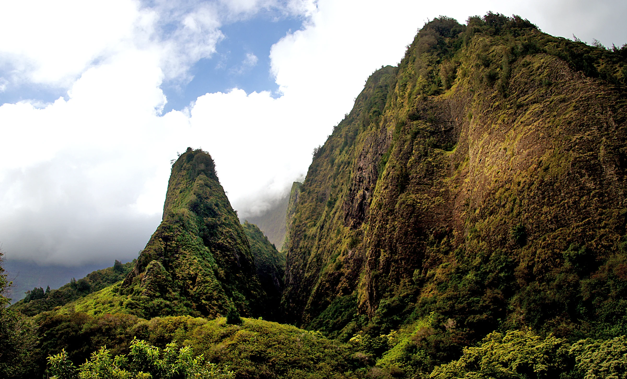 The dramatic landscape of Hawaii is home to a huge number of species you’d find no where else. Photo courtesy of Flickr, Bernard Spragg NZ