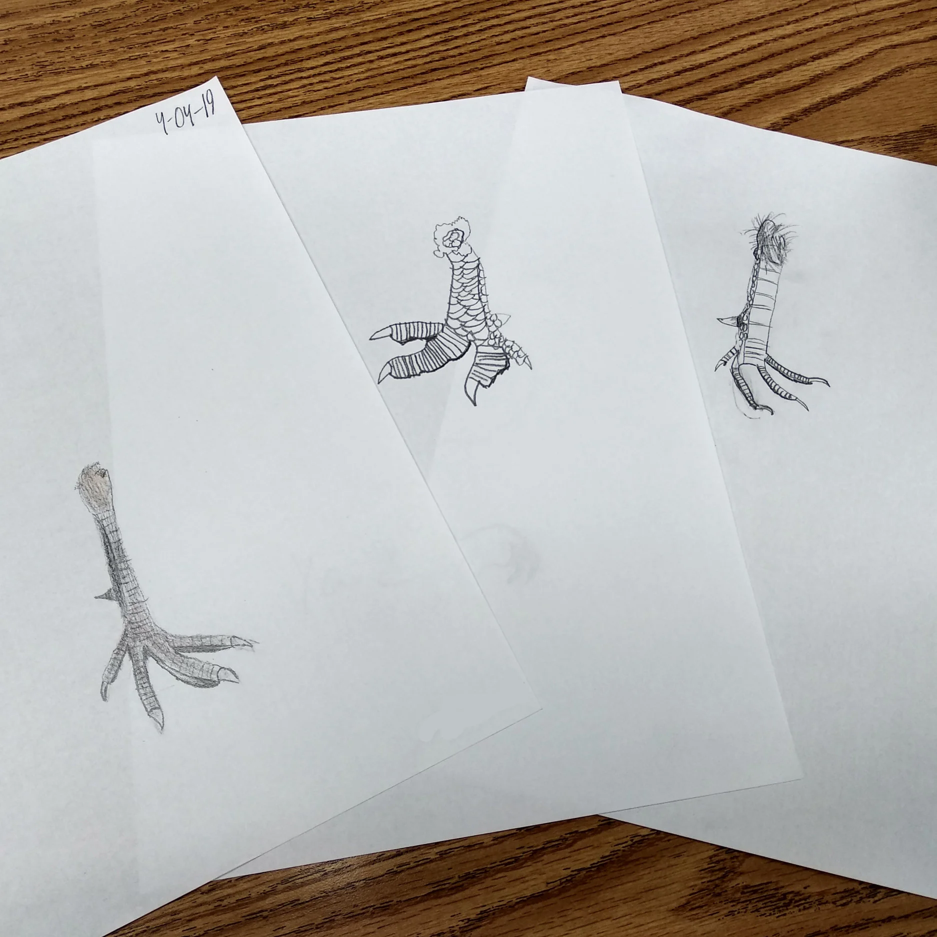 3_the+drawings.jpg