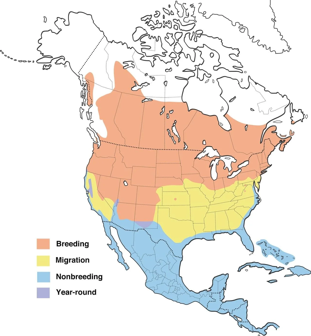 Range map provided by Cornell Lab of Ornithology