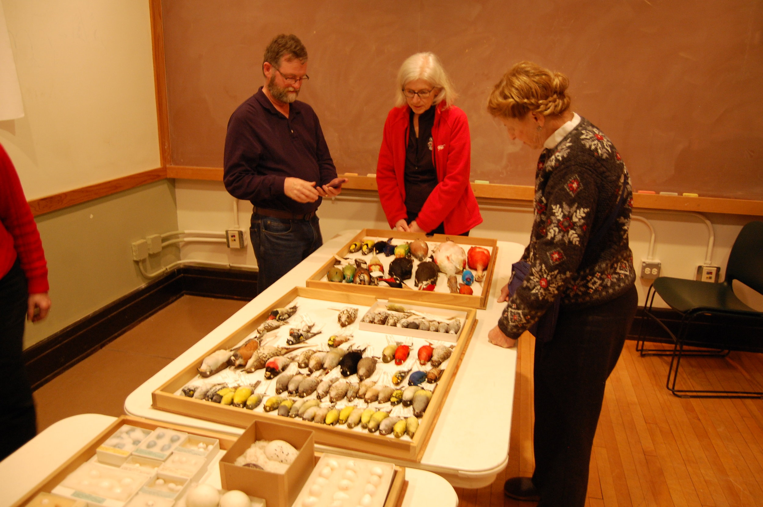 Behind the Scenes at the Field Museum (Chicago)