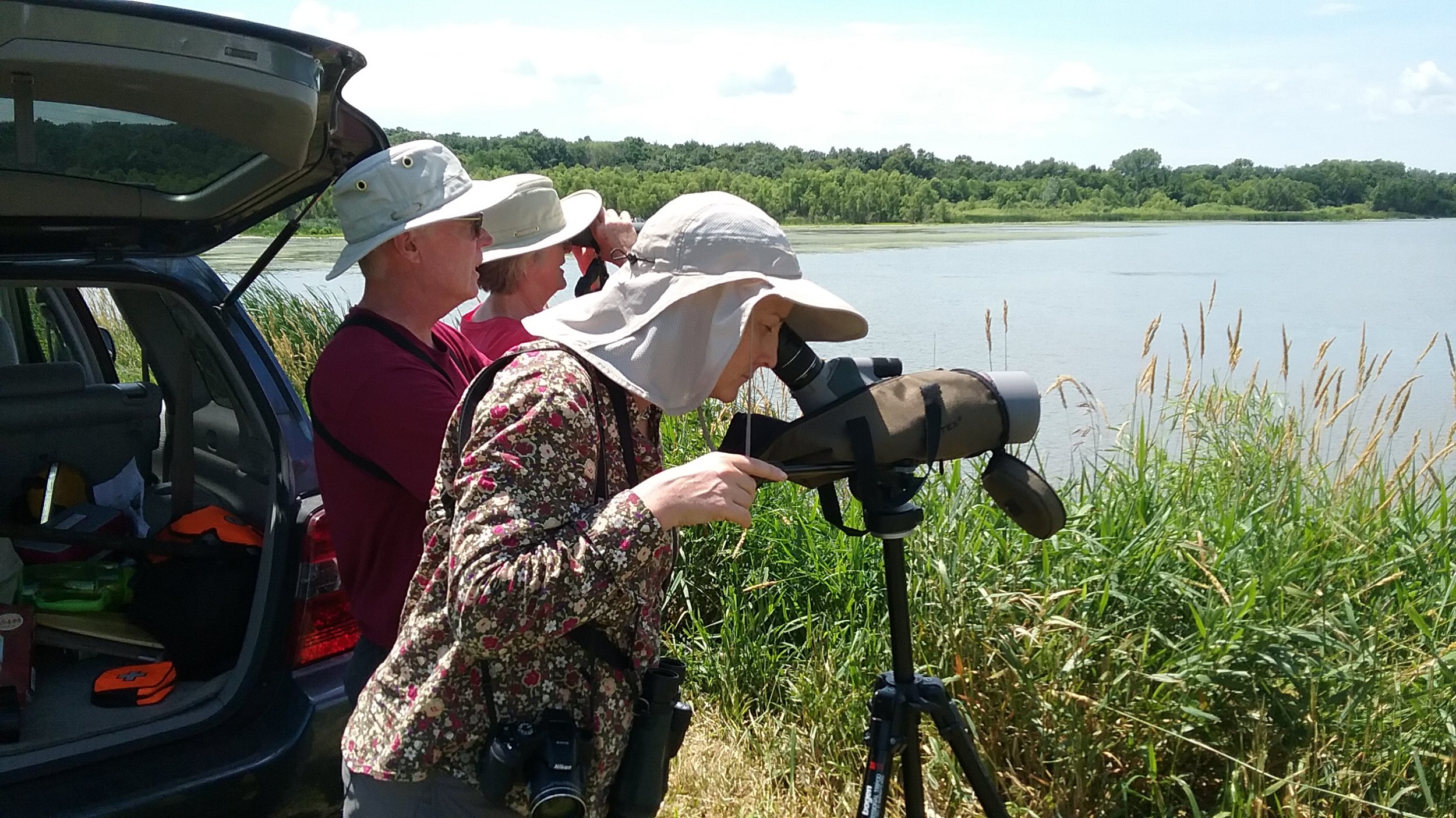 Brand Smith, Dory Owen, Sharon Weisenberger viewing the first sightings of black-necked stilt chicks in Columbia County. Photo by Mark Martin