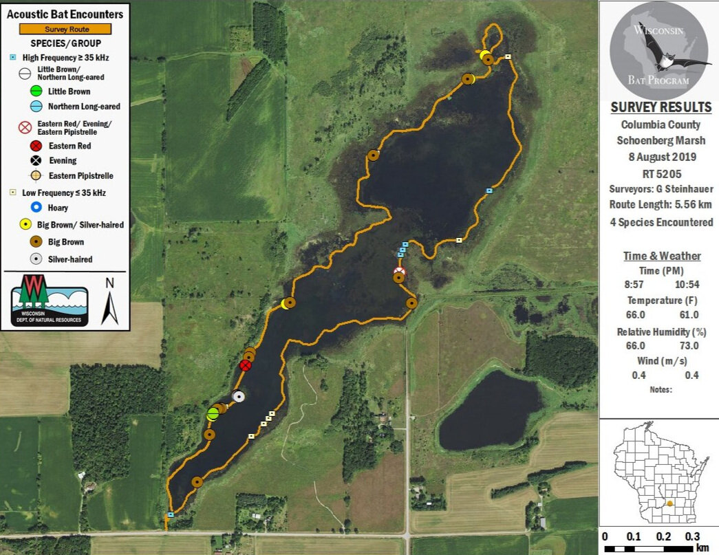 Results of the same survey done in 2019. Map by WDNR Bat Program