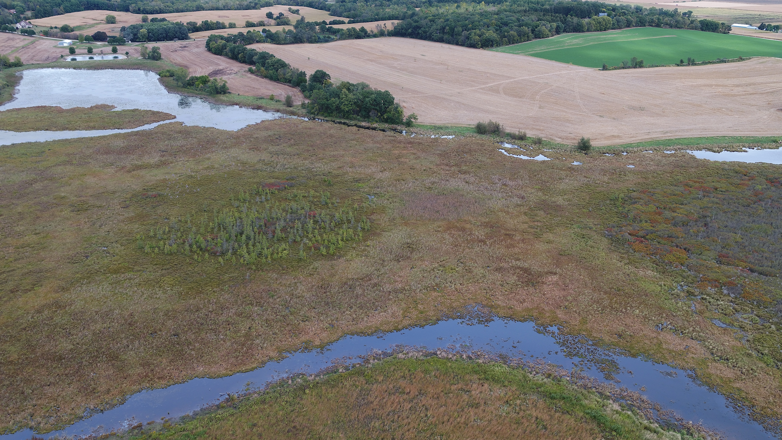 Wetland “moat” at Faville marsh. Narrow areas of water are likely due to erosion. Native vegetation will replace agricultural field and hold the soil in place in the far upper left of this photo, credit Rob Couey