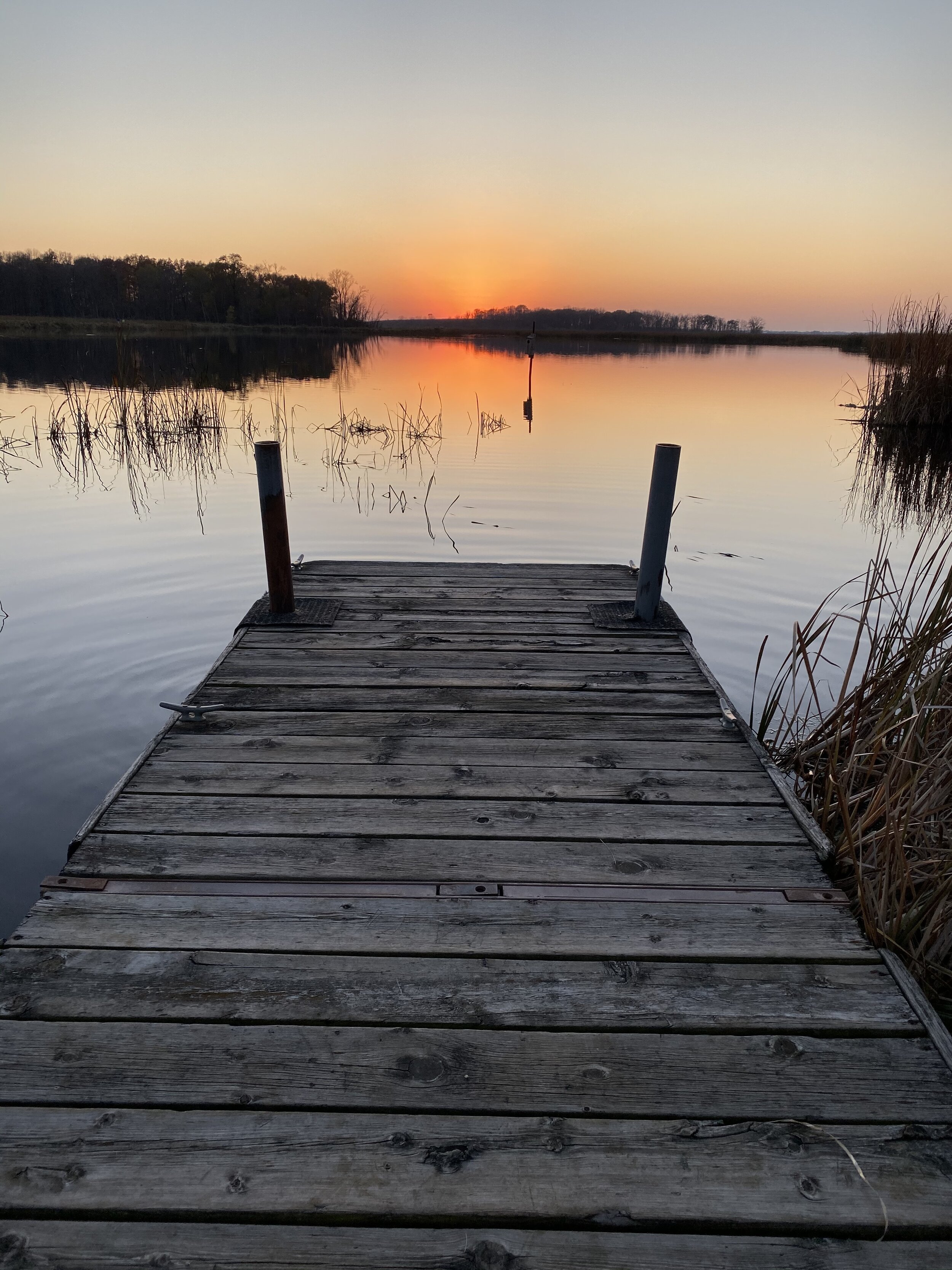 Now here’s a Wisconsin sit-spot! Yours doesn’t have to be so established or picturesque, however. Just choose a spot that makes you smile. Photo by Brenna Marsicek