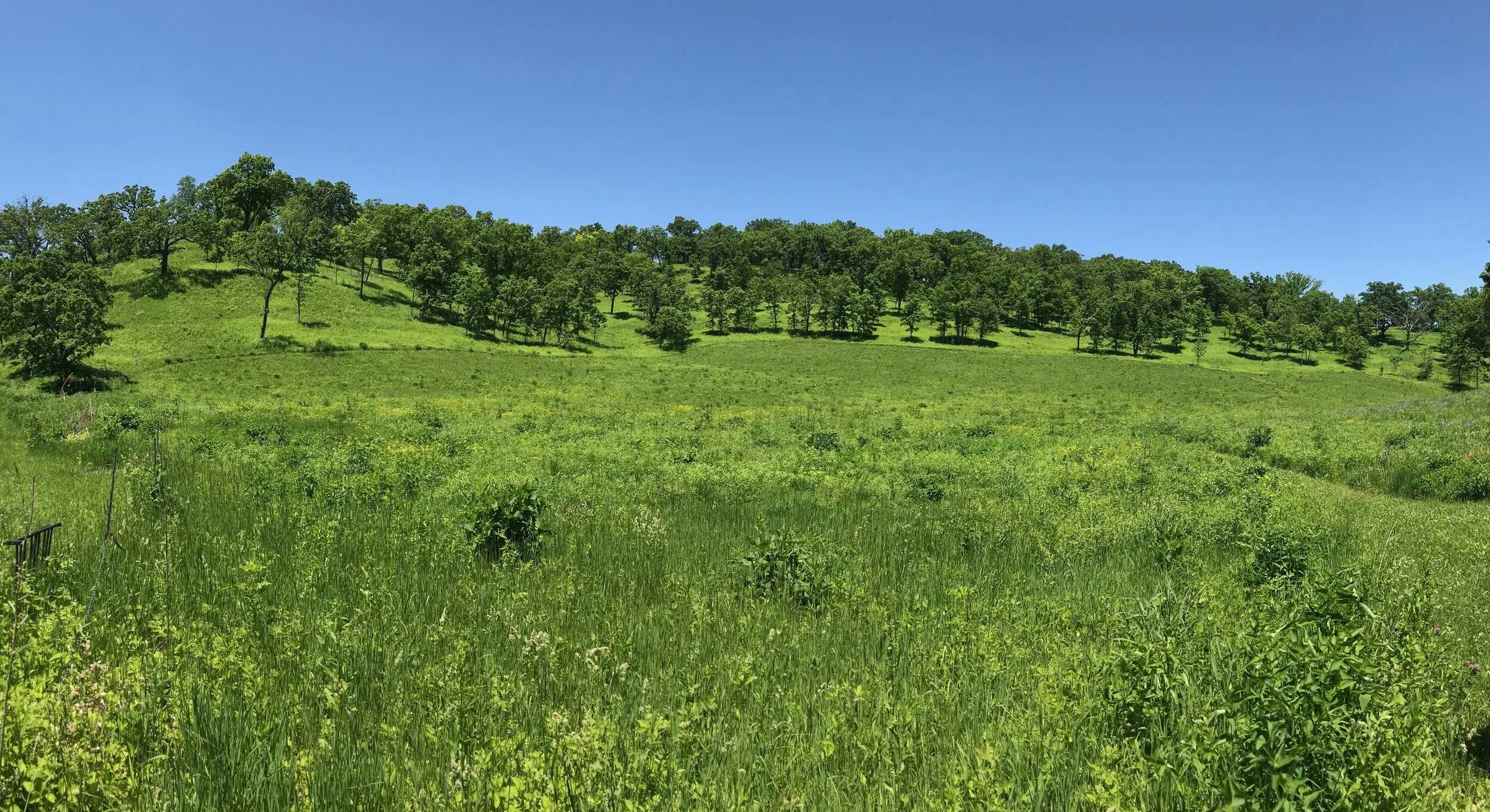 Pleasant Valley Conservancy Labor Day Hike