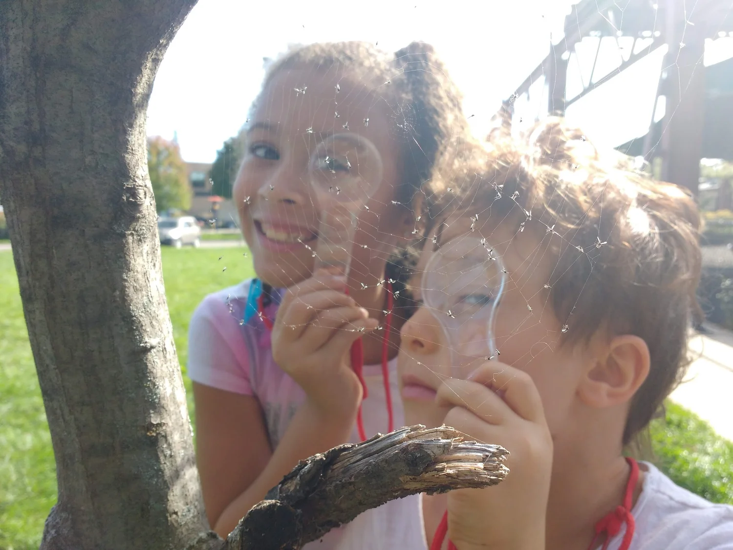 Scavenger Hunts &amp; Nature Baskets — Southern Wisconsin Bird Alliance