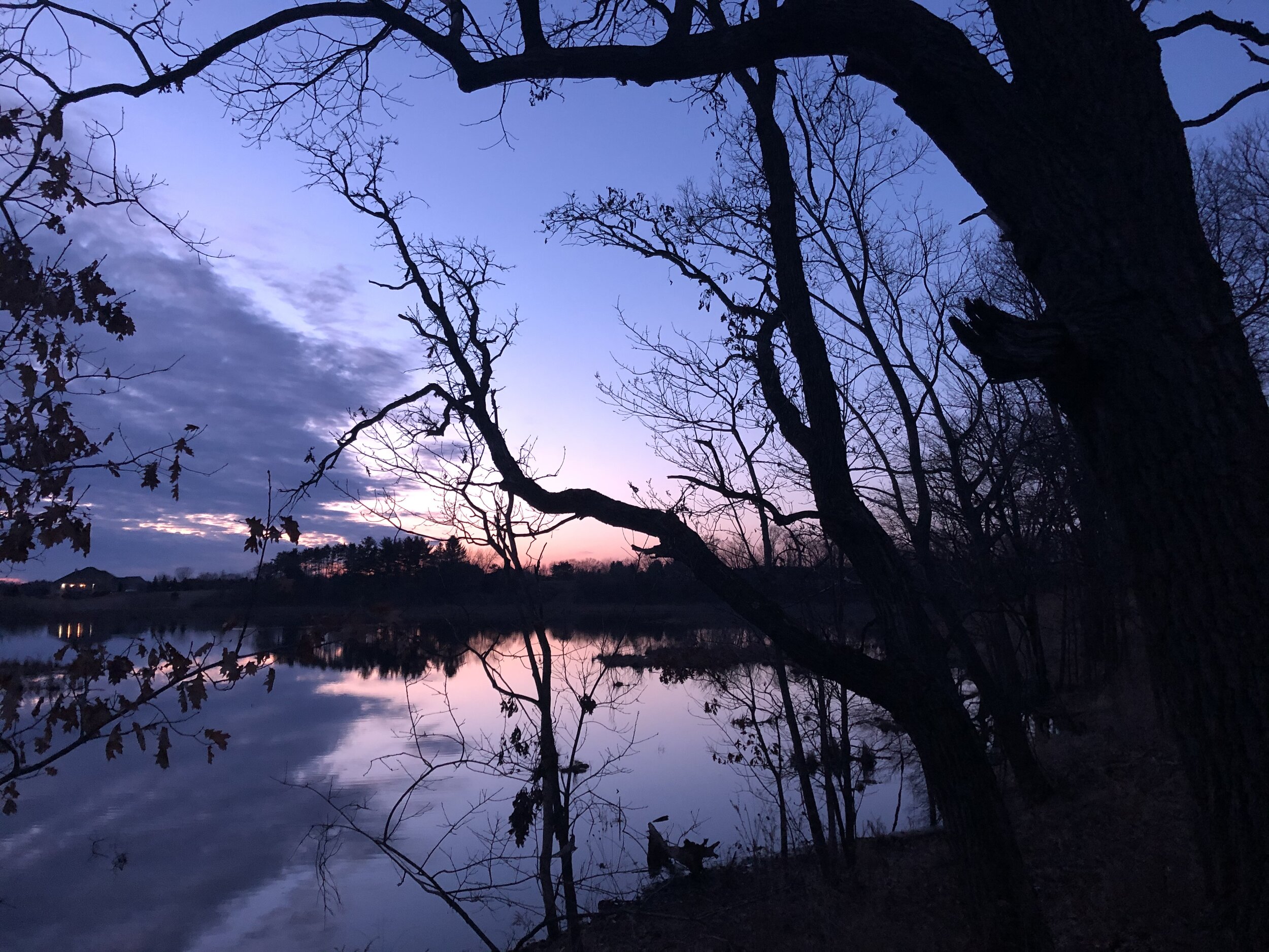 Dusk at Faville Grove Sanctuary. Photo by Drew Harry