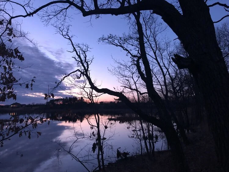 An Evening with the Woodcocks at Faville Grove Sanctuary