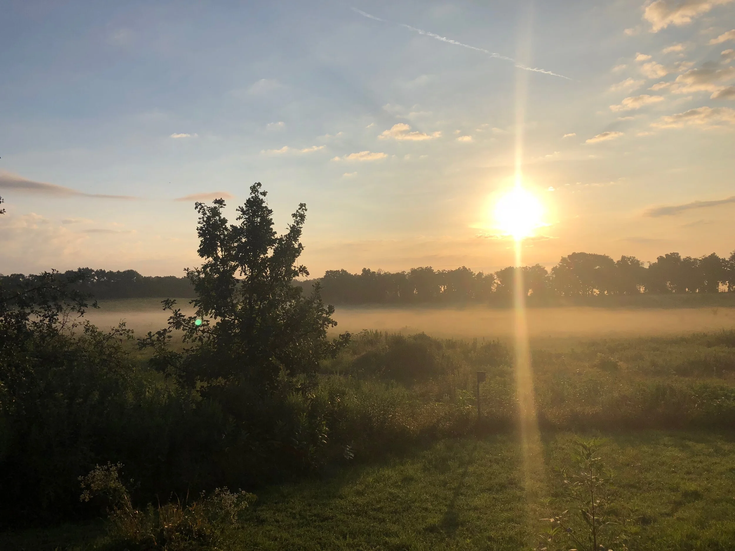 Sunrise Birding with Drew