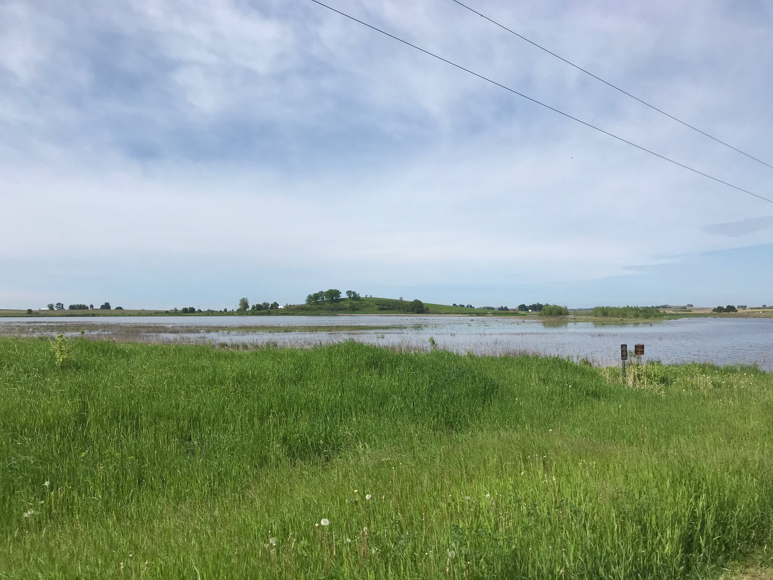 Goose Pond Update