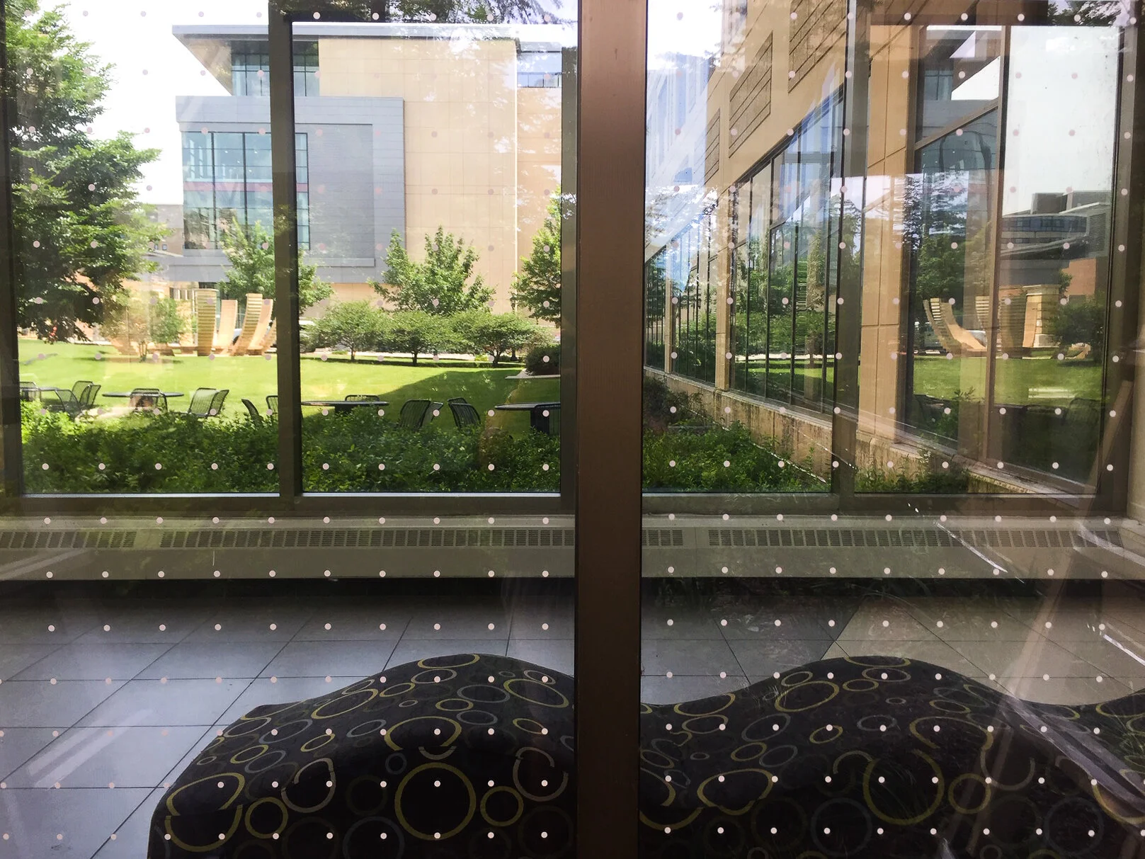 BirdSafe Glass Ordinance — Madison Audubon