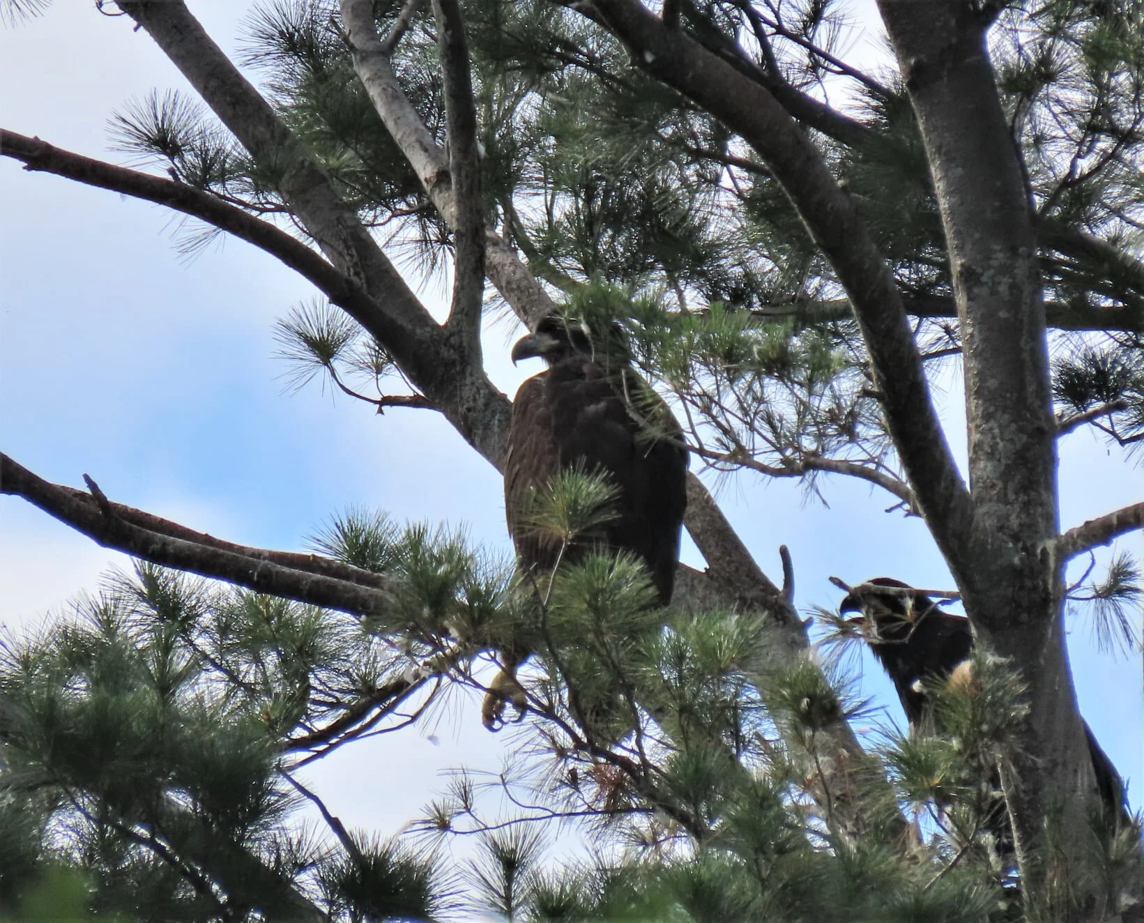 BENW Season-End Gathering