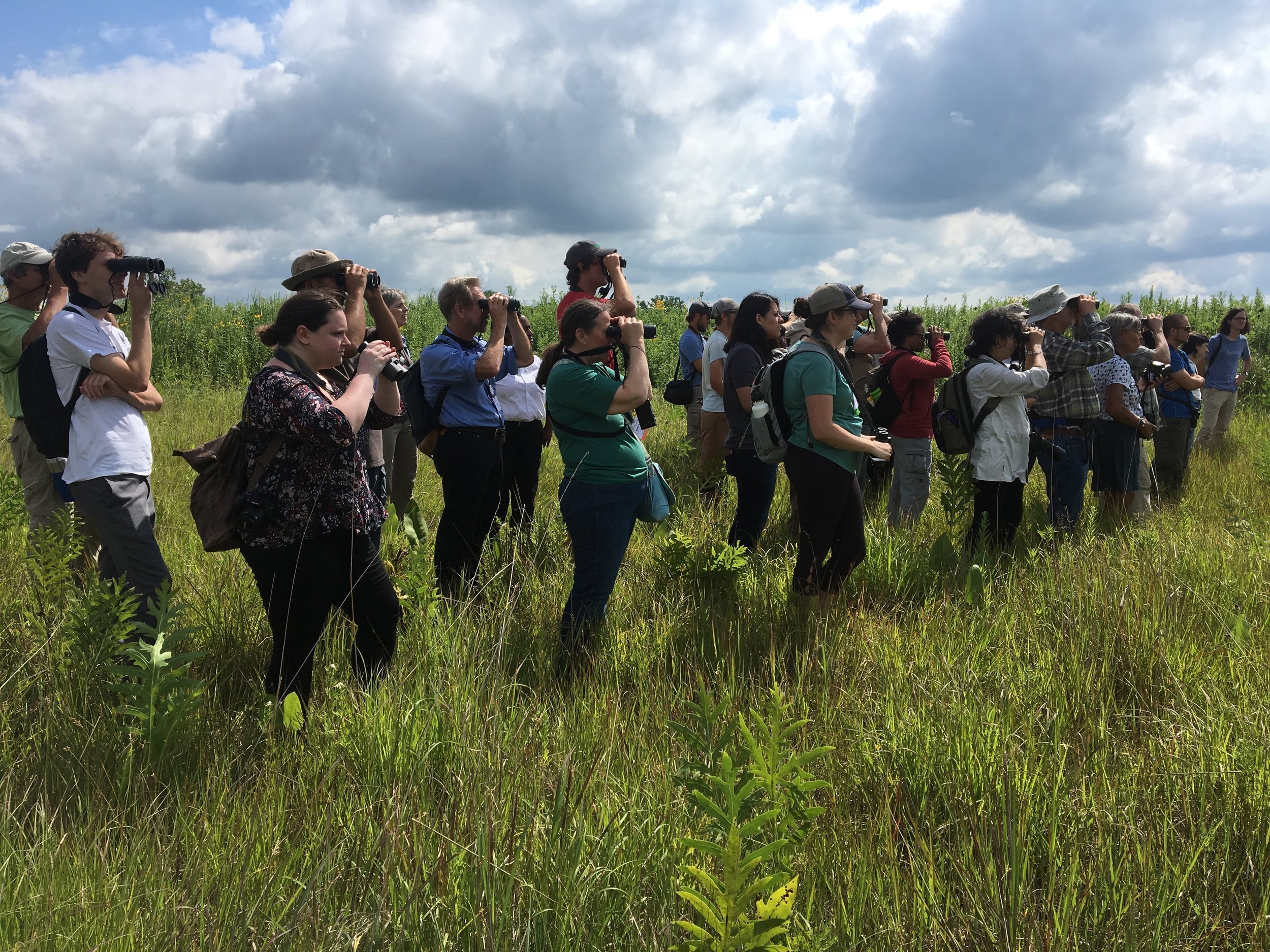 Become A Member Madison Audubon Become A Member Madison Audubon