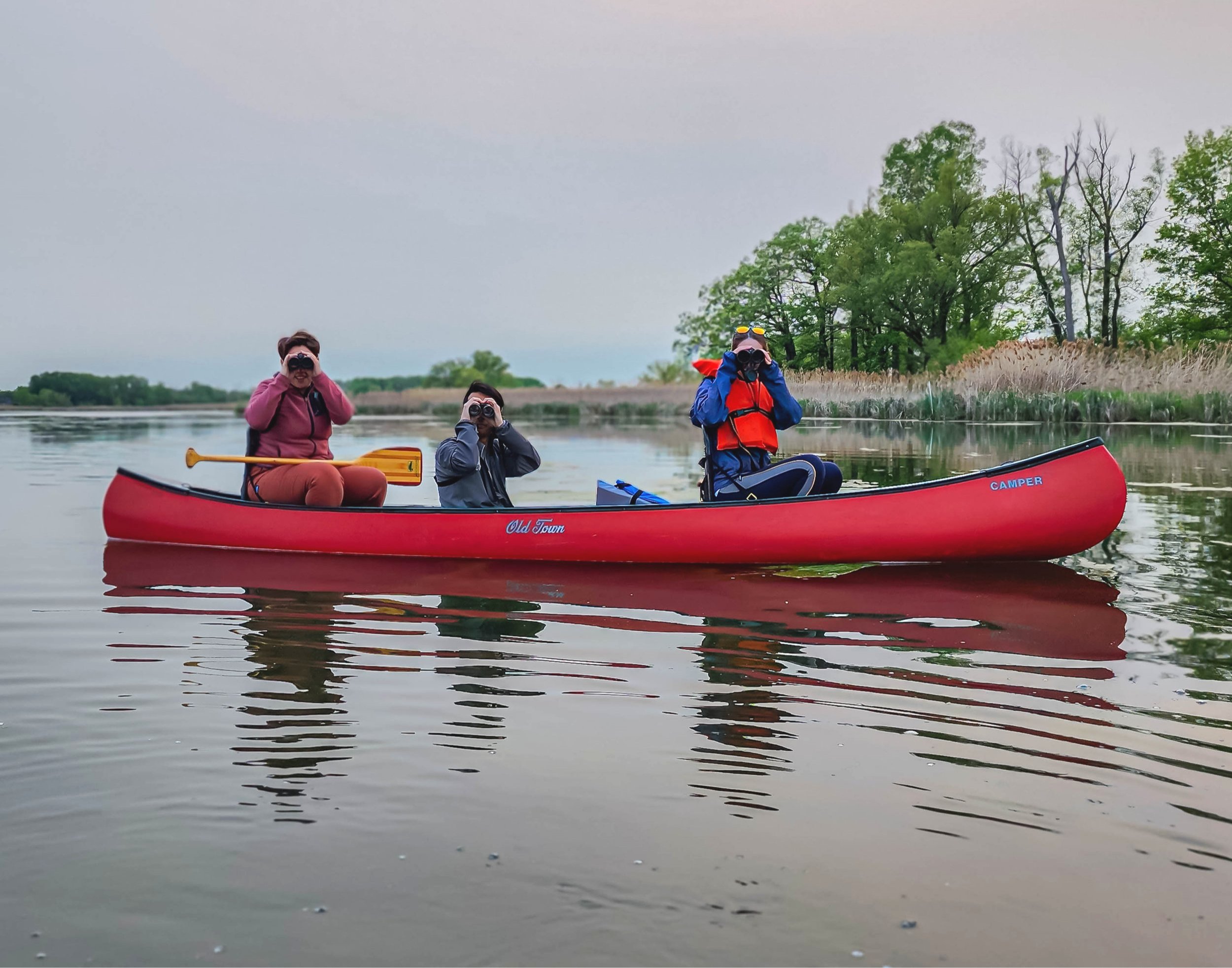 Birding By Boat: Cherokee Marsh South (FULL)