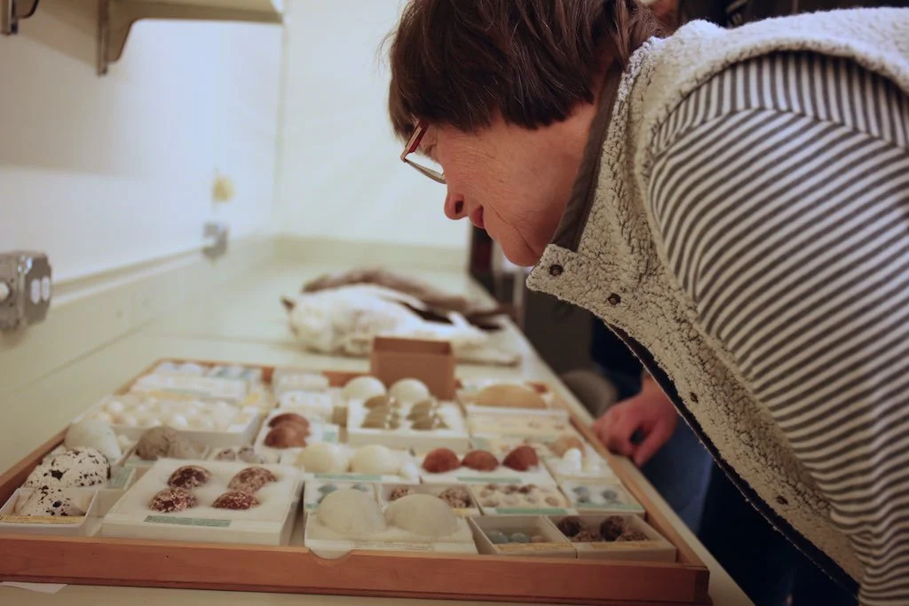 Behind the Scenes at the Field Museum (Chicago)