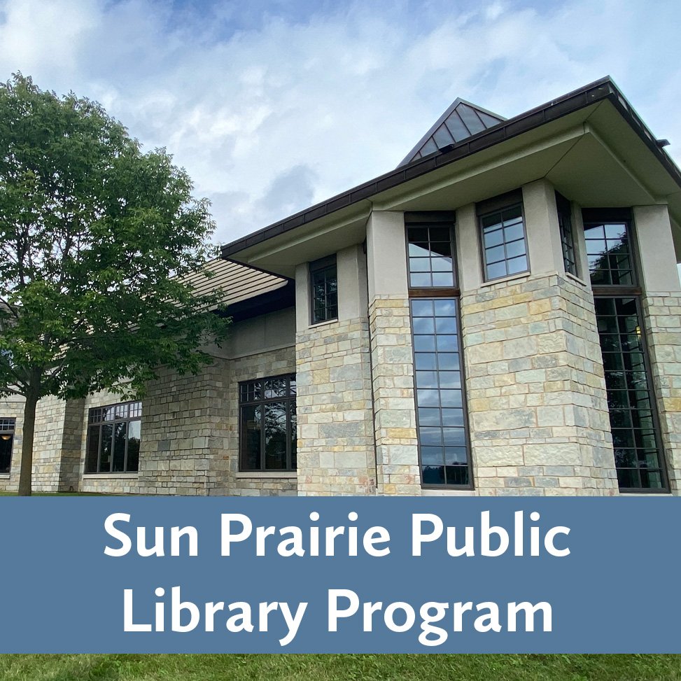 sun prairie library  blue.jpg