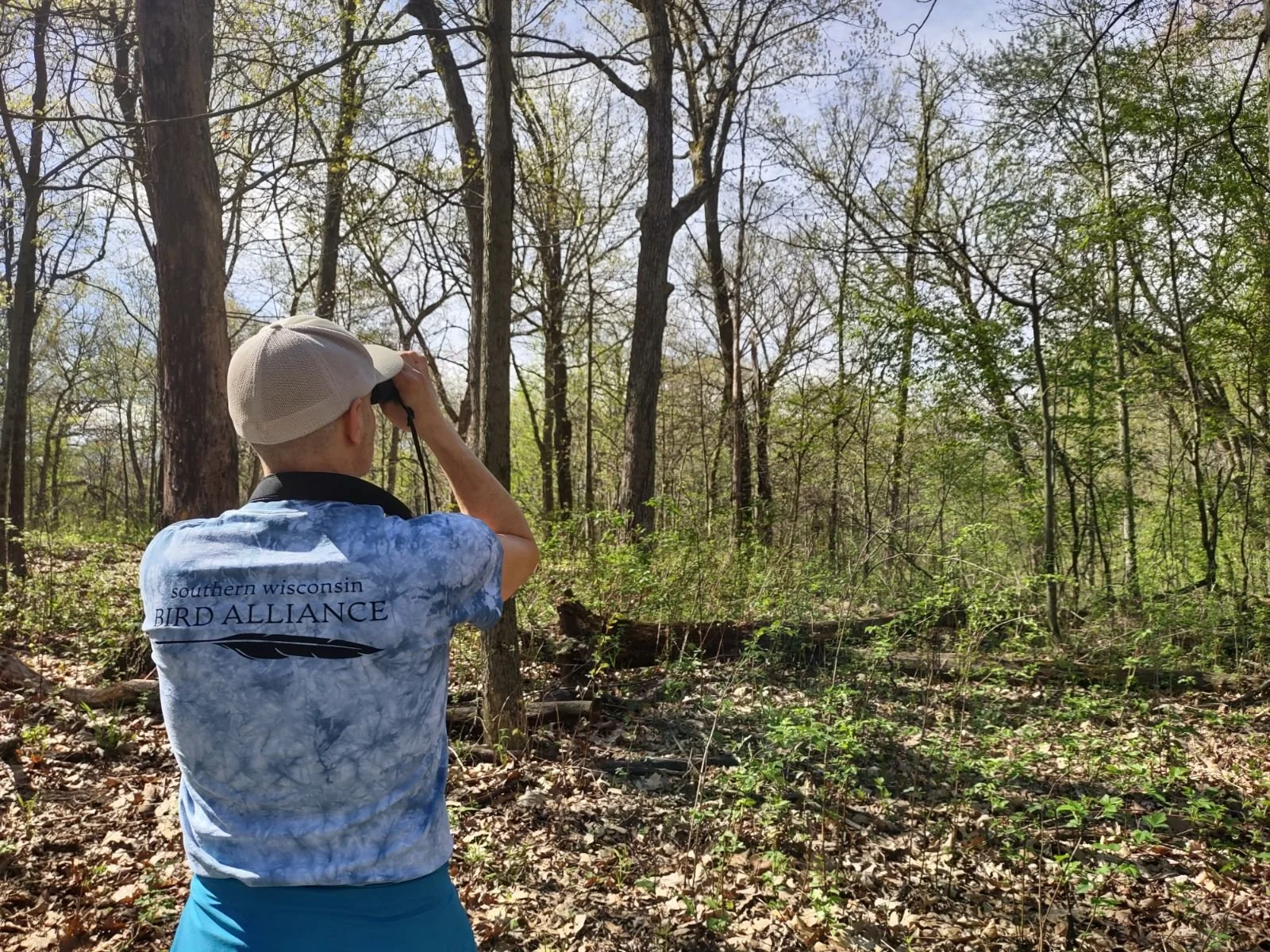 2024 Birdathon: the Flockadelics