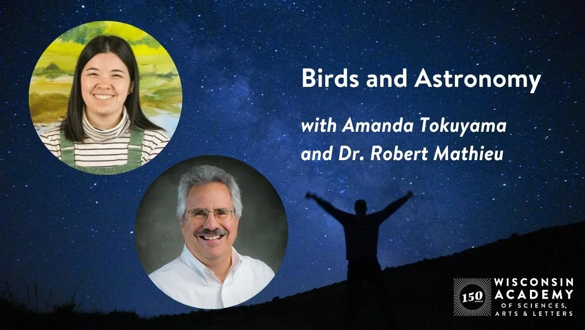 Public talk: Birds & Astronomy