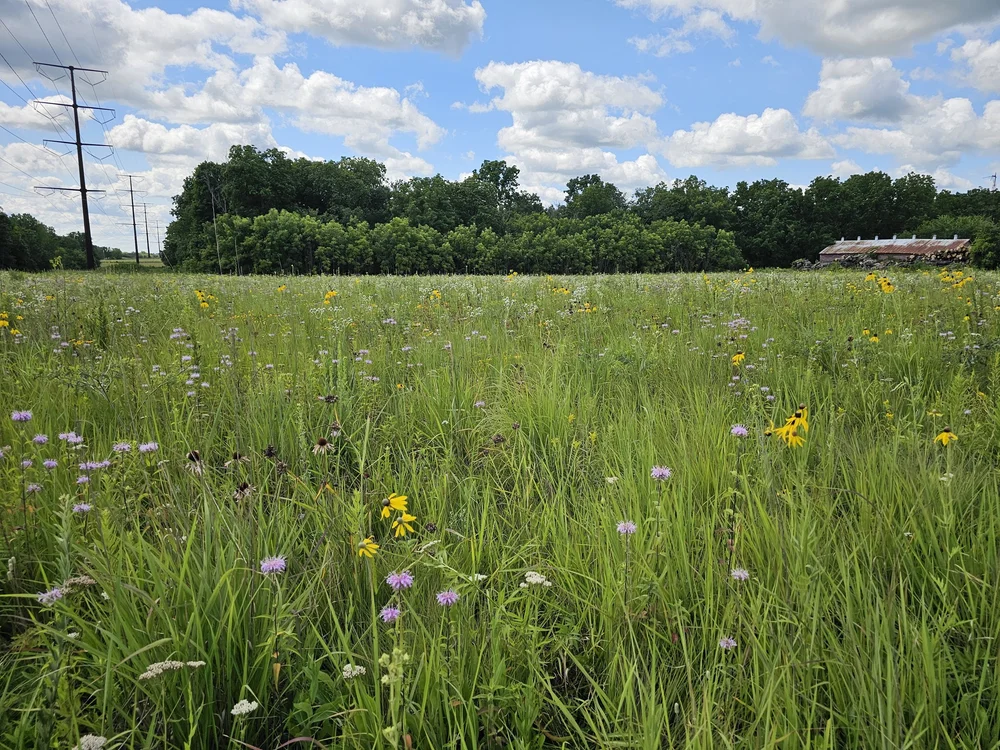 Hillside Prairie Sanctuary Open House — Southern Wisconsin Bird Alliance