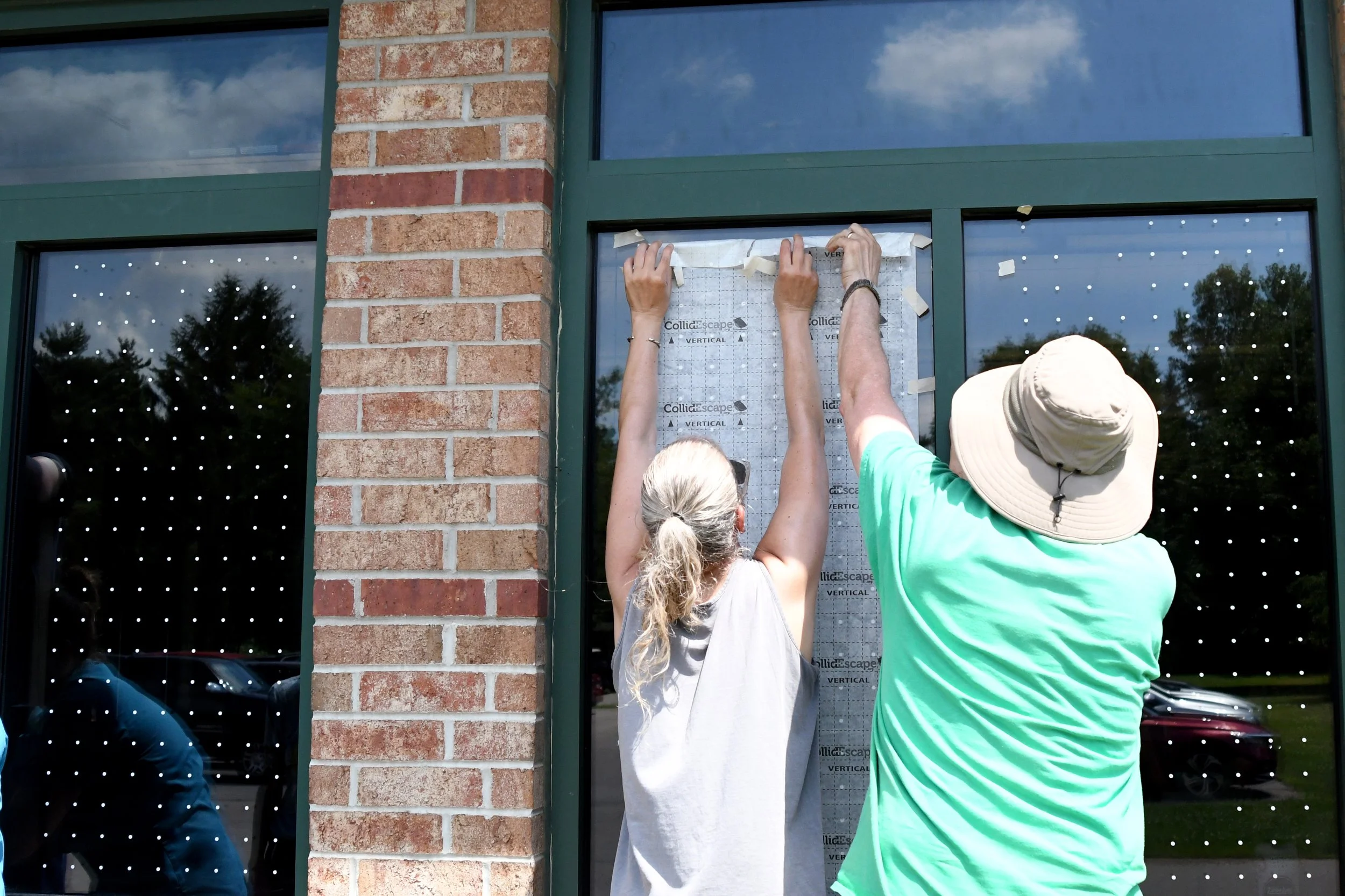 Adding bird-collision deterrent dots at the Dane County Humane Society in 2025 (photo by Kaitlin Svabek/SoWBA)