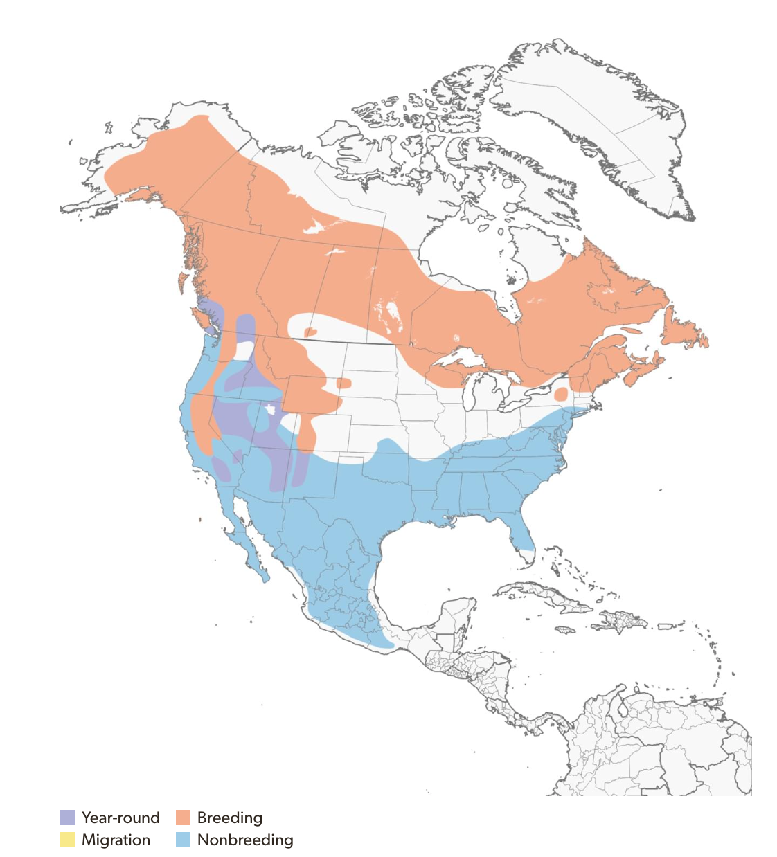   Ruby-crowned Kinglet range (courtesy of Cornell Lab of Ornithology)  