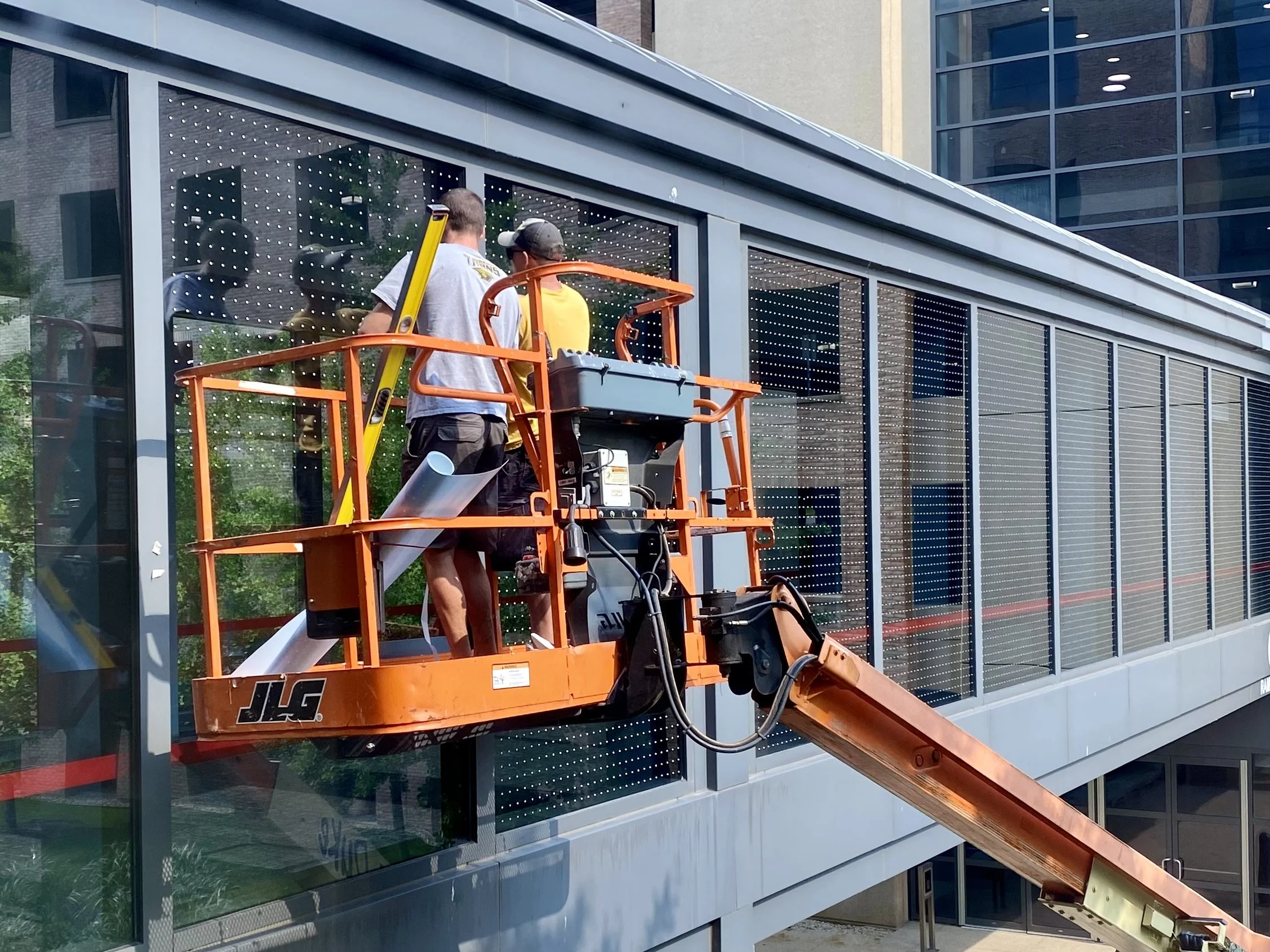 WORKSHOP: Reducing Bird Collisions in Bird Cities